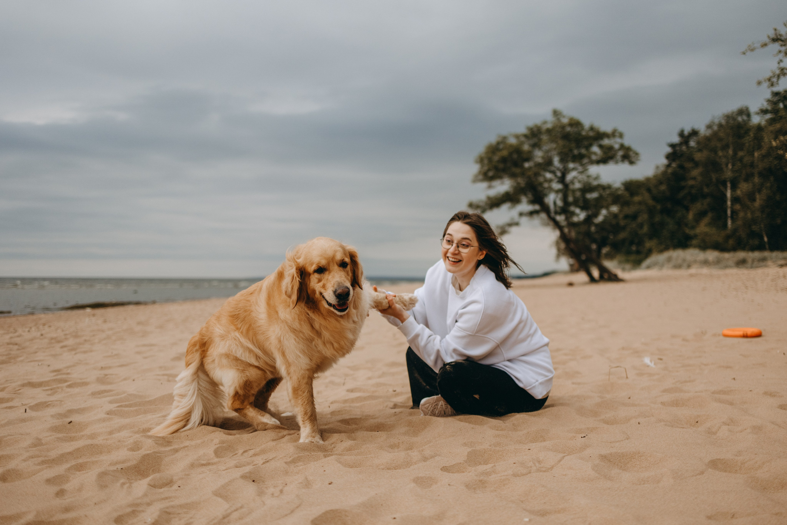 Фоси и его семьи. Фотограф — Анималист | Санкт-Петербург