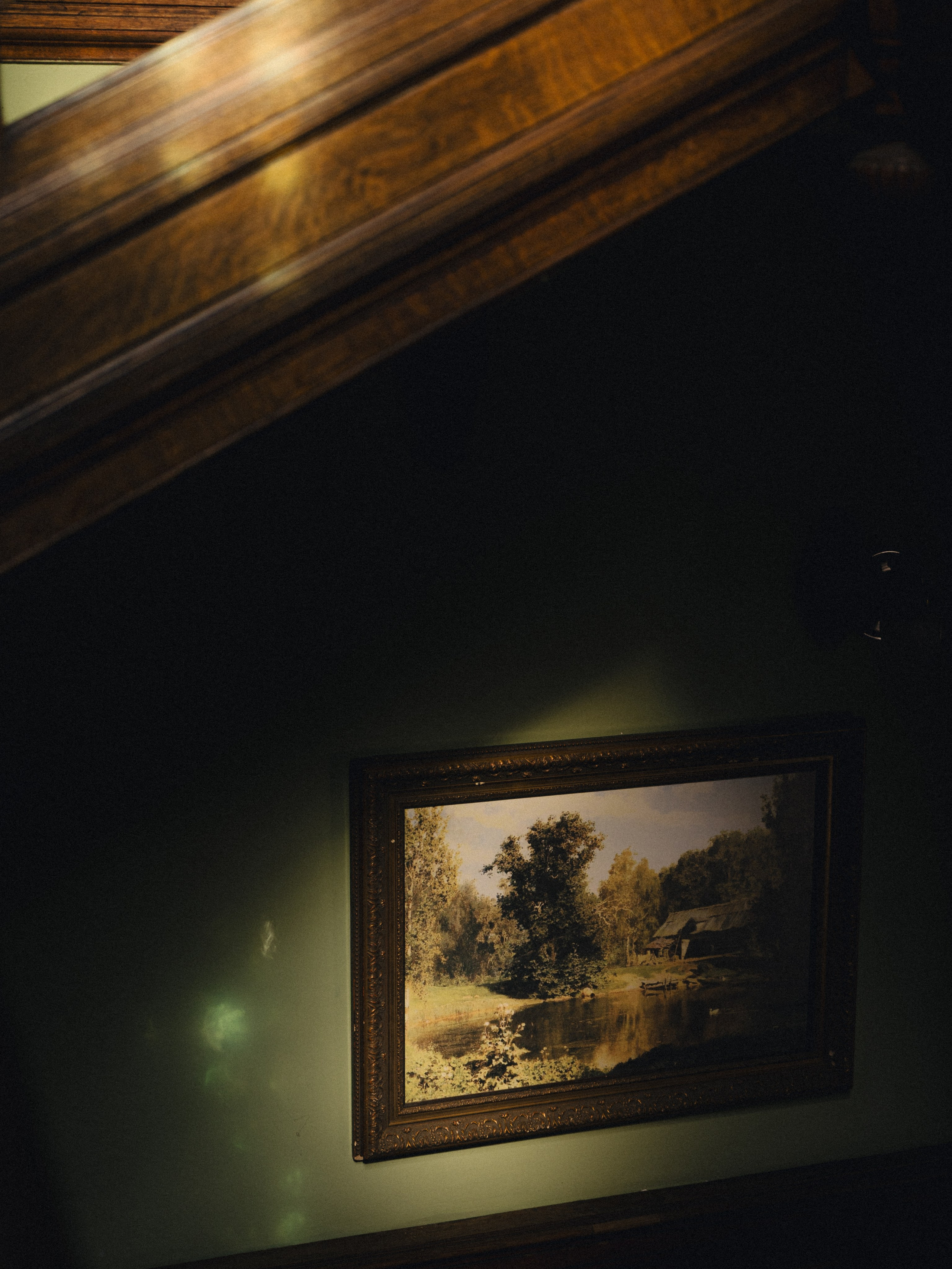 Оксана & Михаил. Фотограф Соня Даркевич