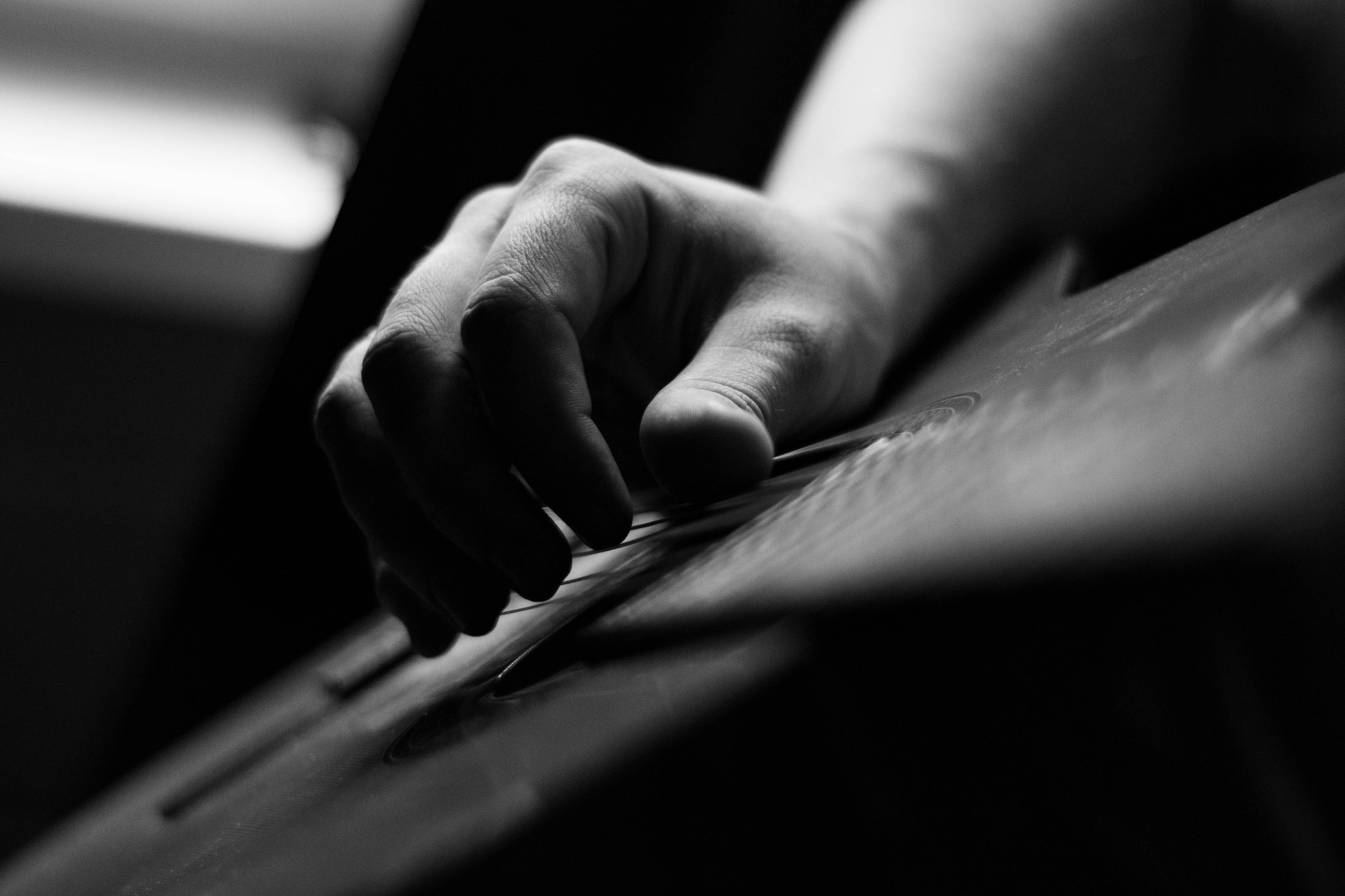 Петр. Фотограф и дизайнер в Москве Екатерина Лобачева