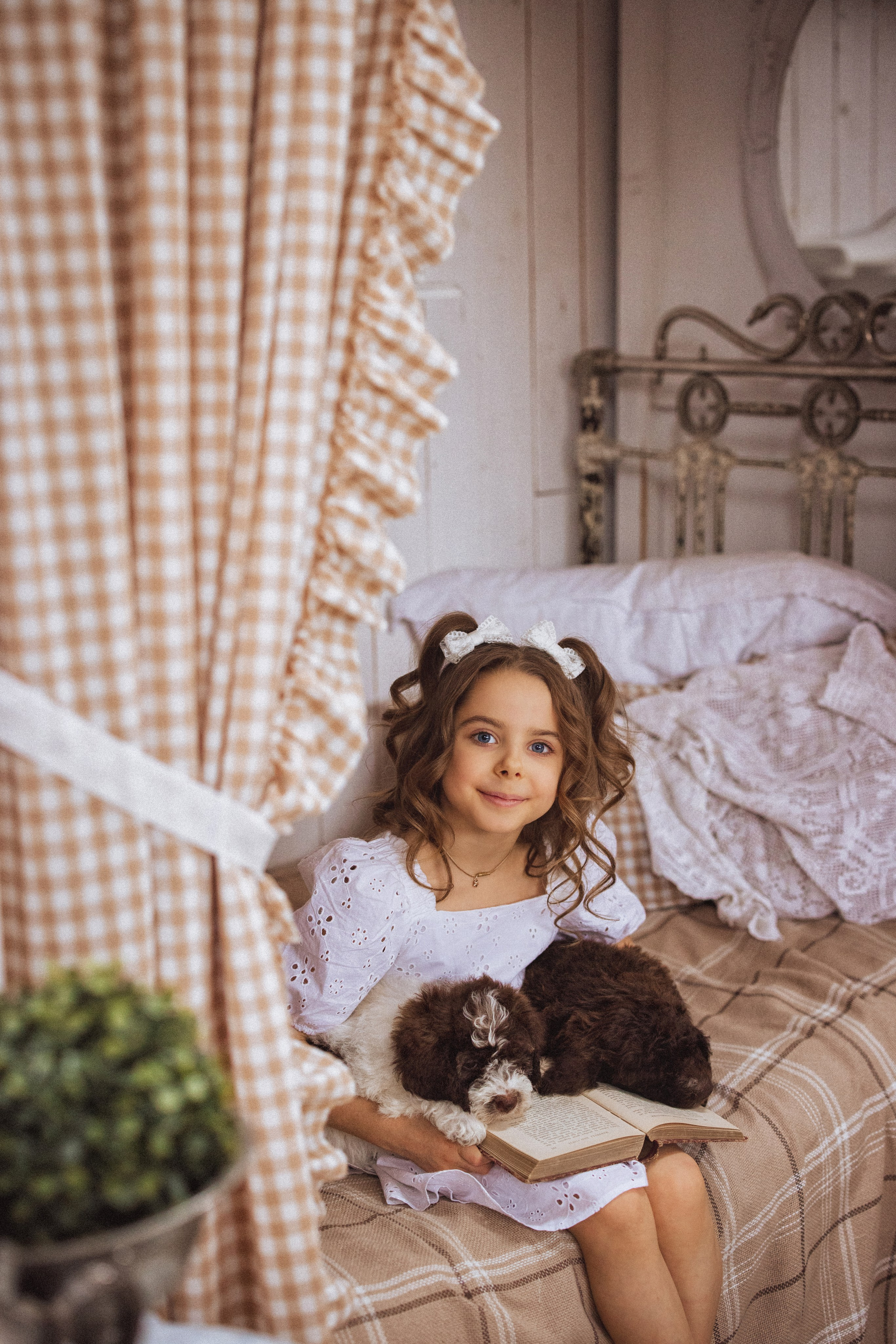 Фотосессия с щенками Лаго́тто-романьо́ло, в Винтажной фотостудии город Краснодар. Семейный и детский фотограф в Краснодаре Анна Трашкова