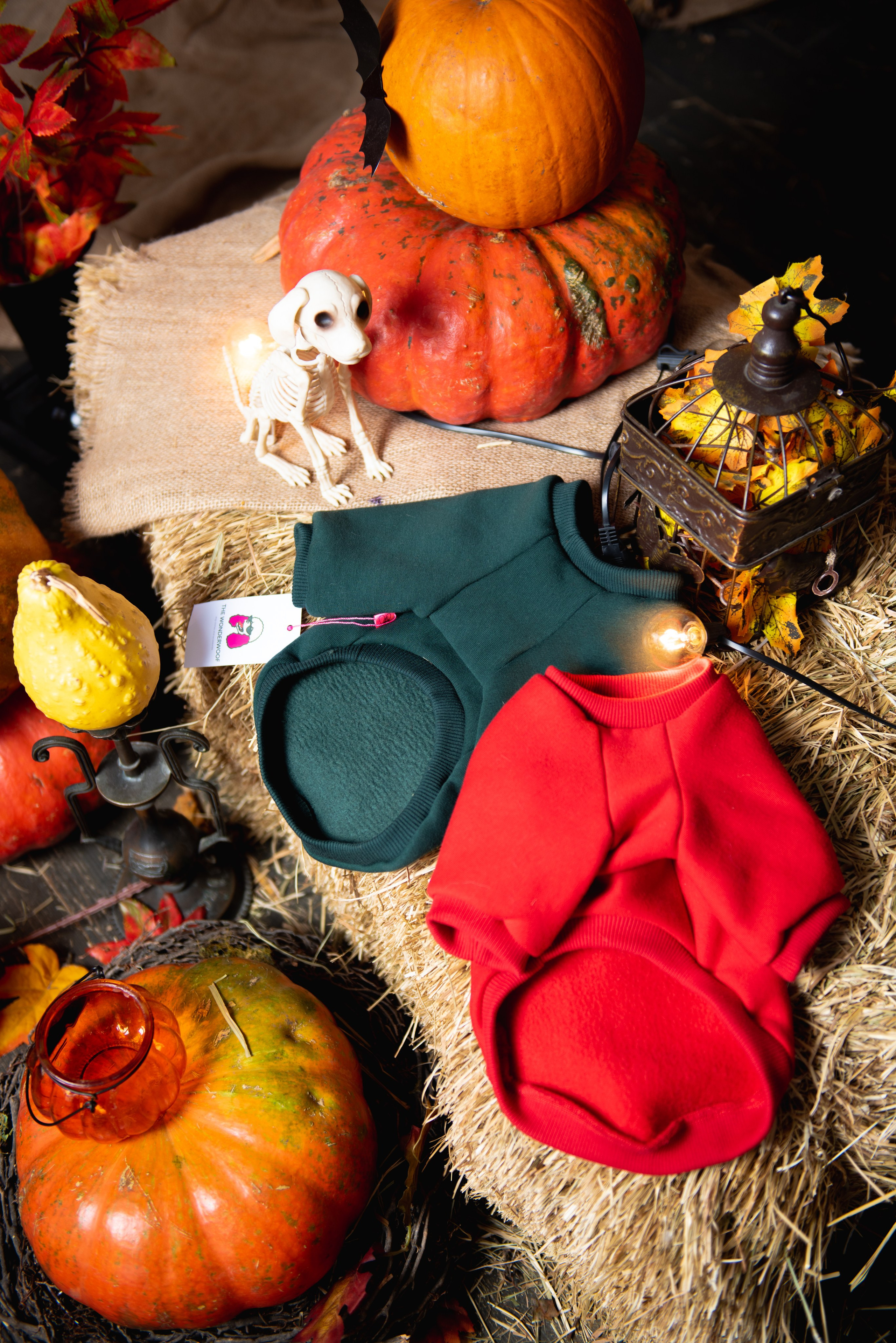 Предметные. Фотограф в Москве Daria Lens