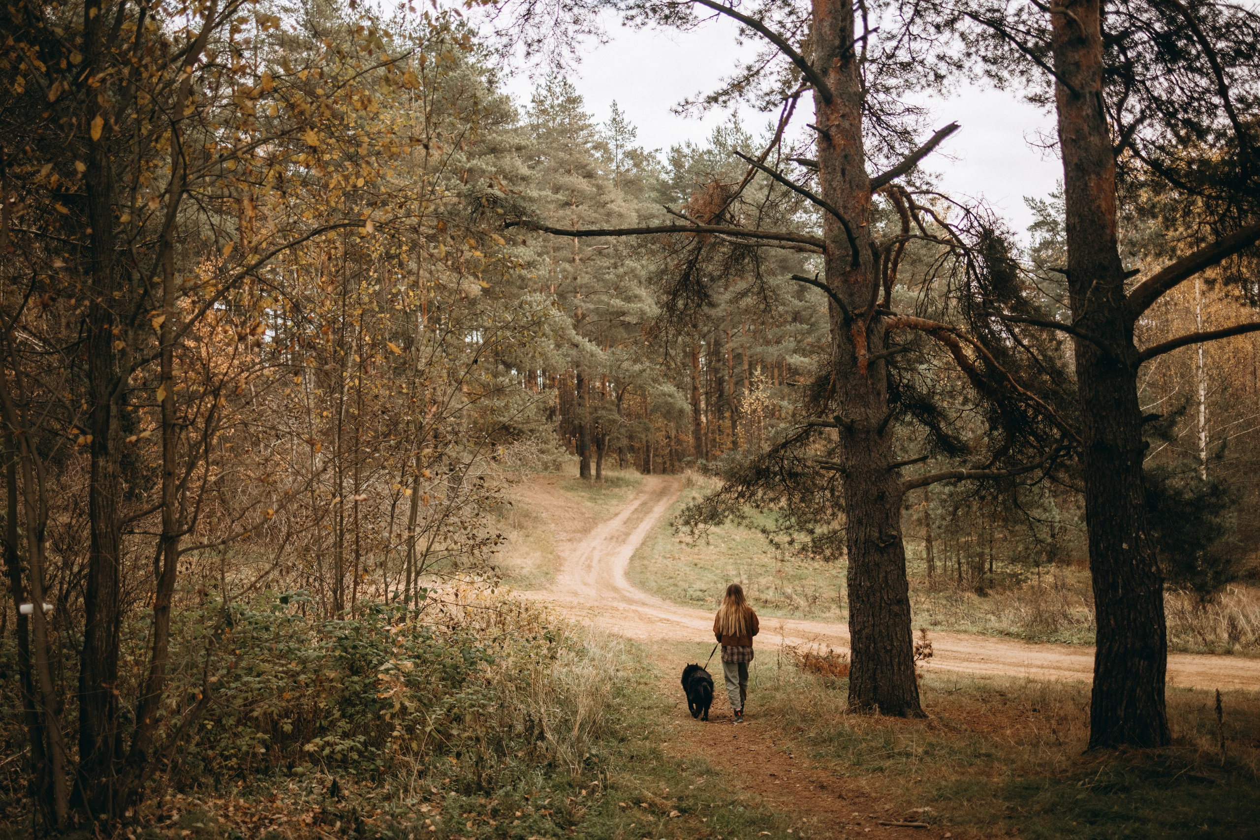 Лора и Джанго. Фотограф — Анималист | Санкт-Петербург