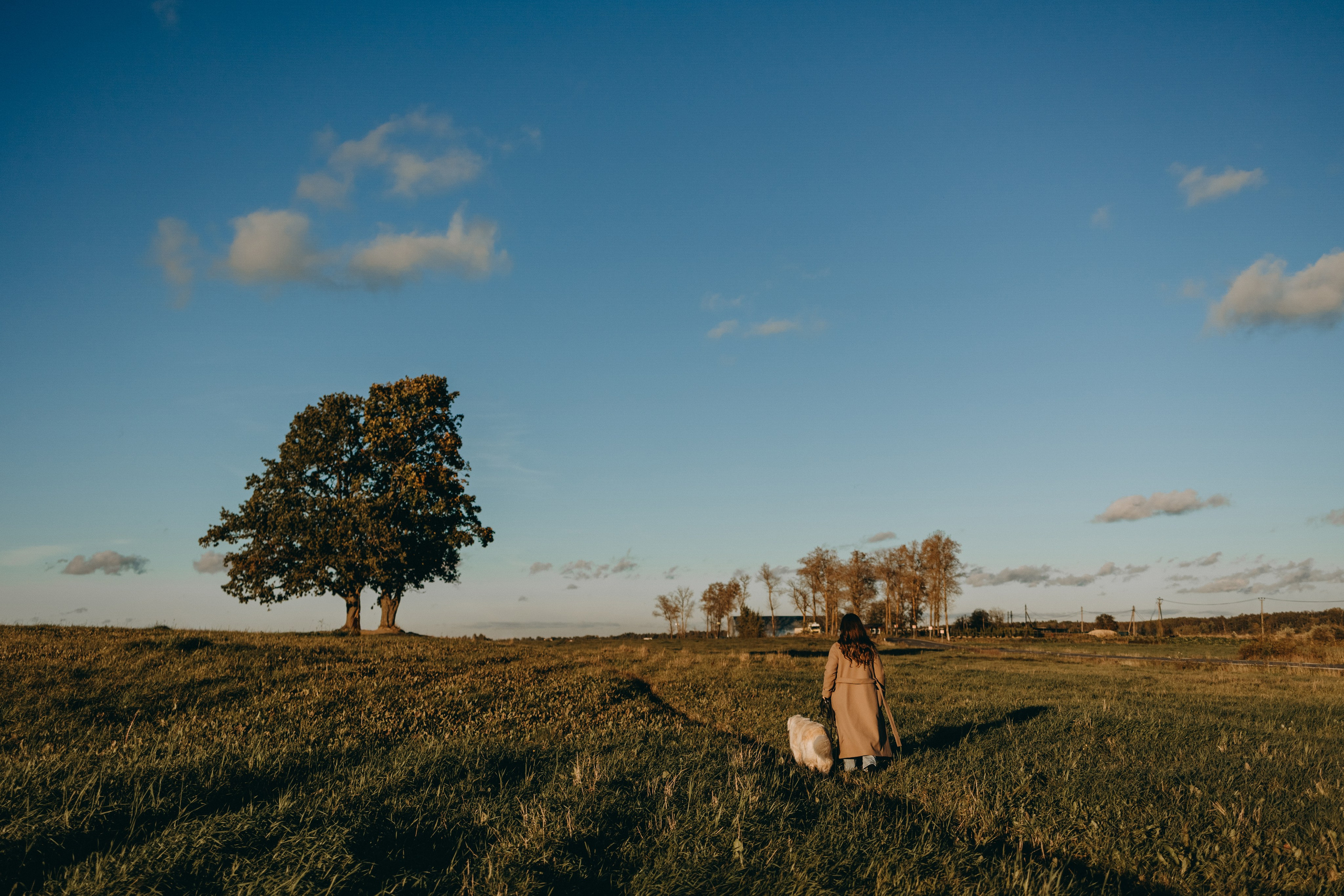 Лера и Скай. Фотограф — Анималист | Санкт-Петербург
