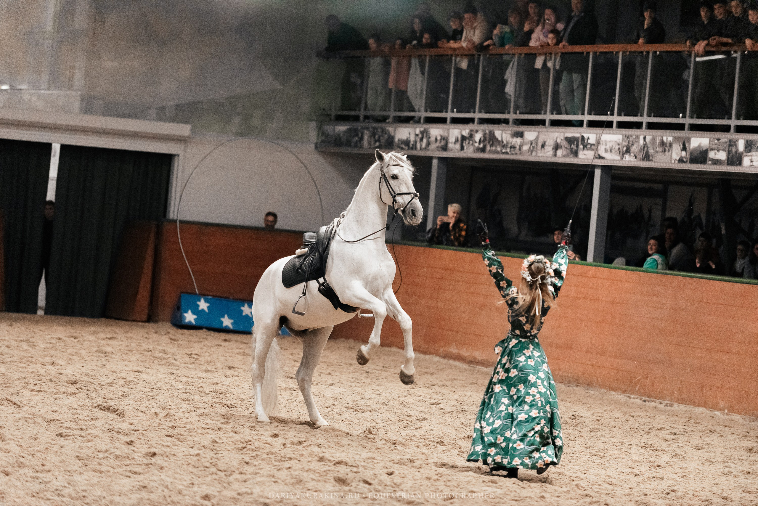 Конное представление «Дыхание Звёзд». Конный фотограф Куракина Дарья • Фотосессии с лошадьми
