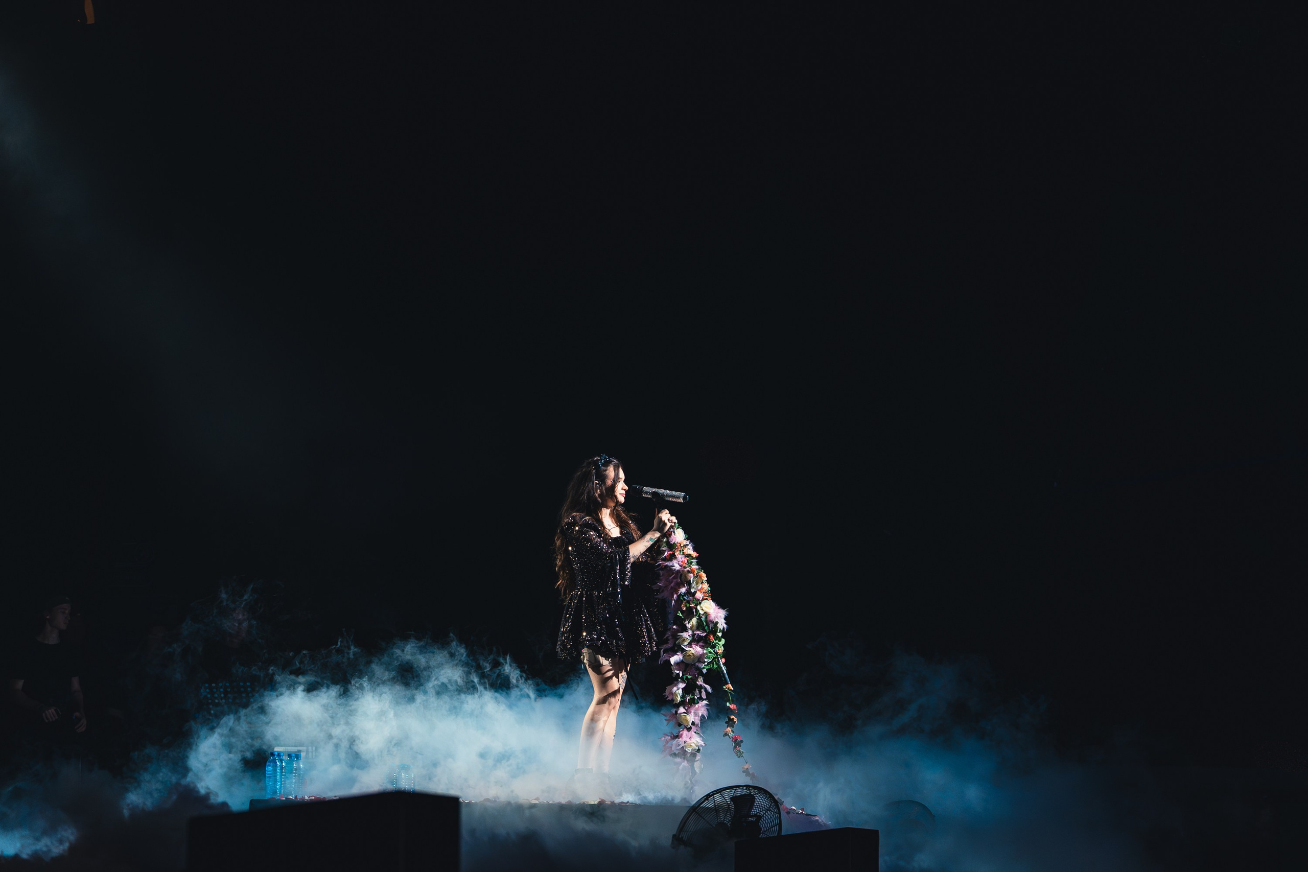 Алена Швец. Магия музыки в кадре: Концертная Фотография