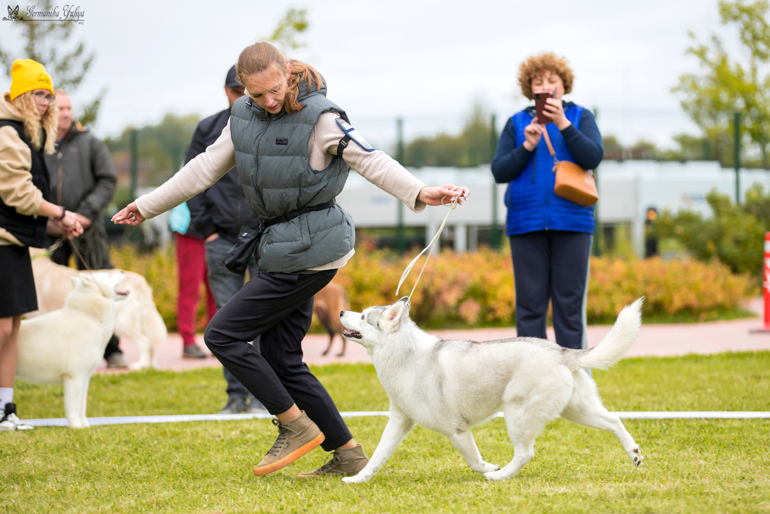 Переславль 9-10.09.2023. Фотограф-анималист Юлия Германика