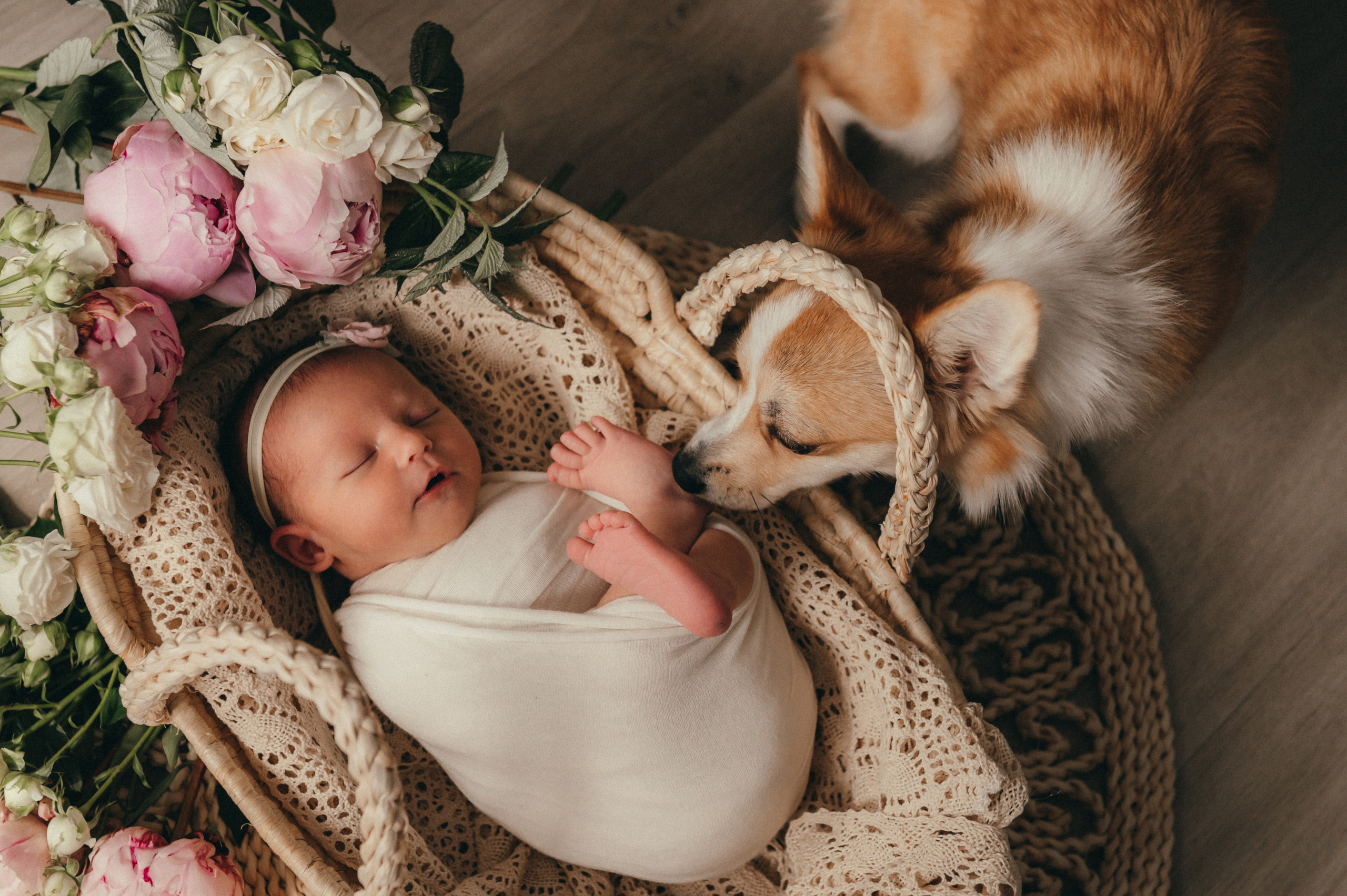 Классический ньюборн. Семейный, детский и фотограф ньюборн в Нижнем Новгороде