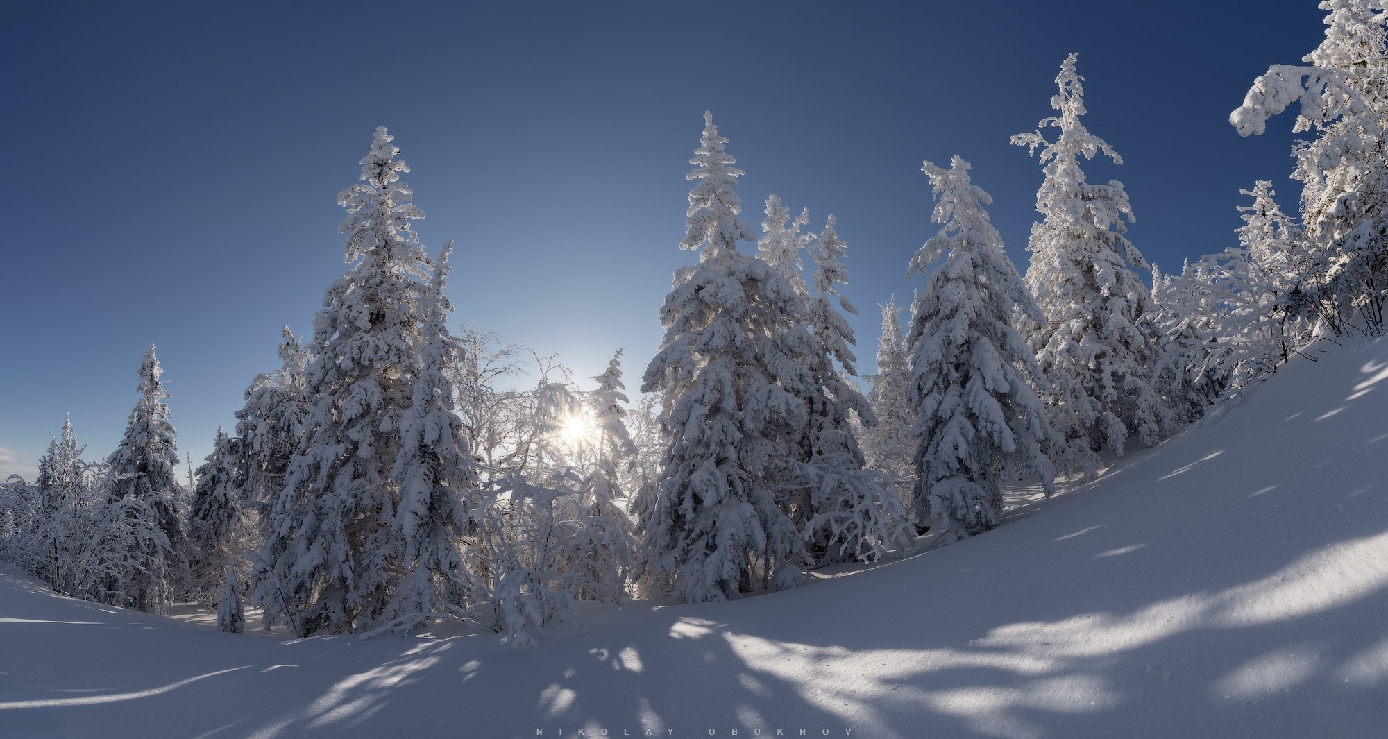 Зимняя панорама на горе Белая: низкое солнце пробивается сквозь покрытые снегом ели. Мороз и солнце!