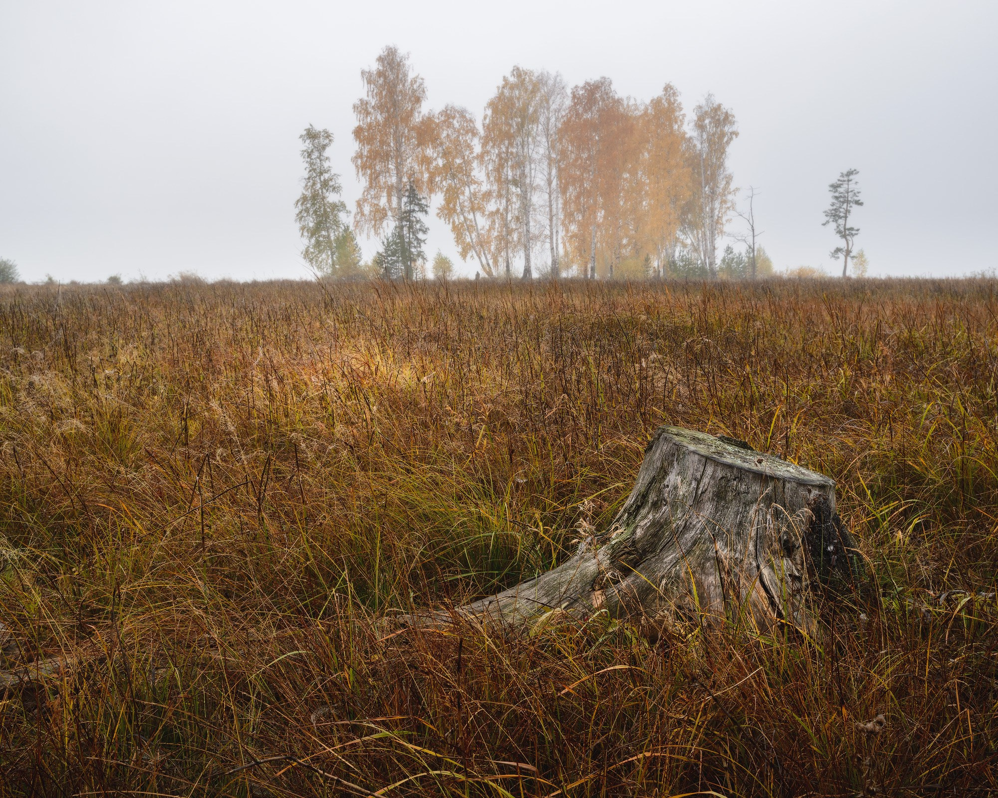 Осенний пейзаж на берегу Черноисточинского пруда.