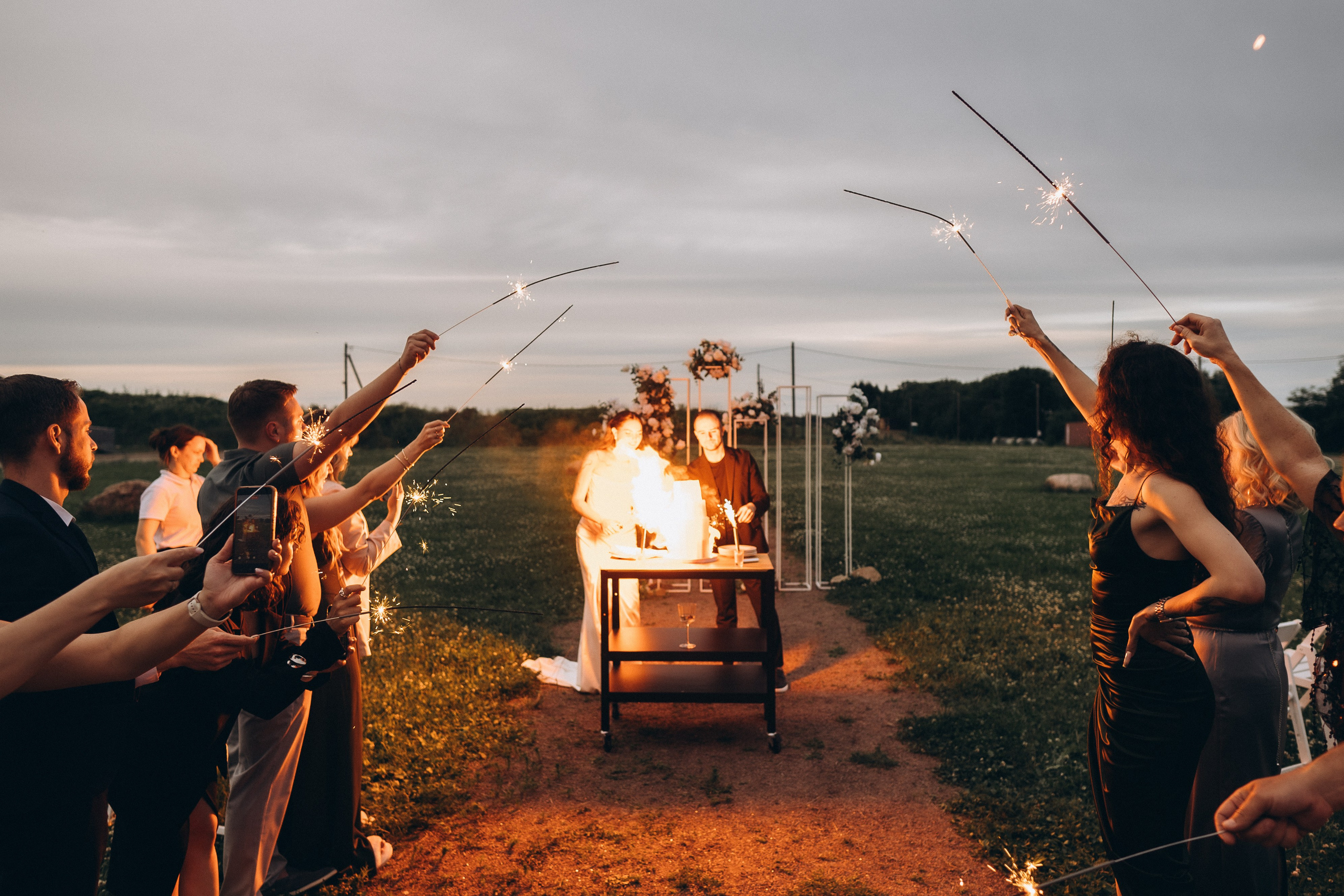 Выездная регистрация+банкет. Фотограф ПИТЕР СПБ Надежда Баранова