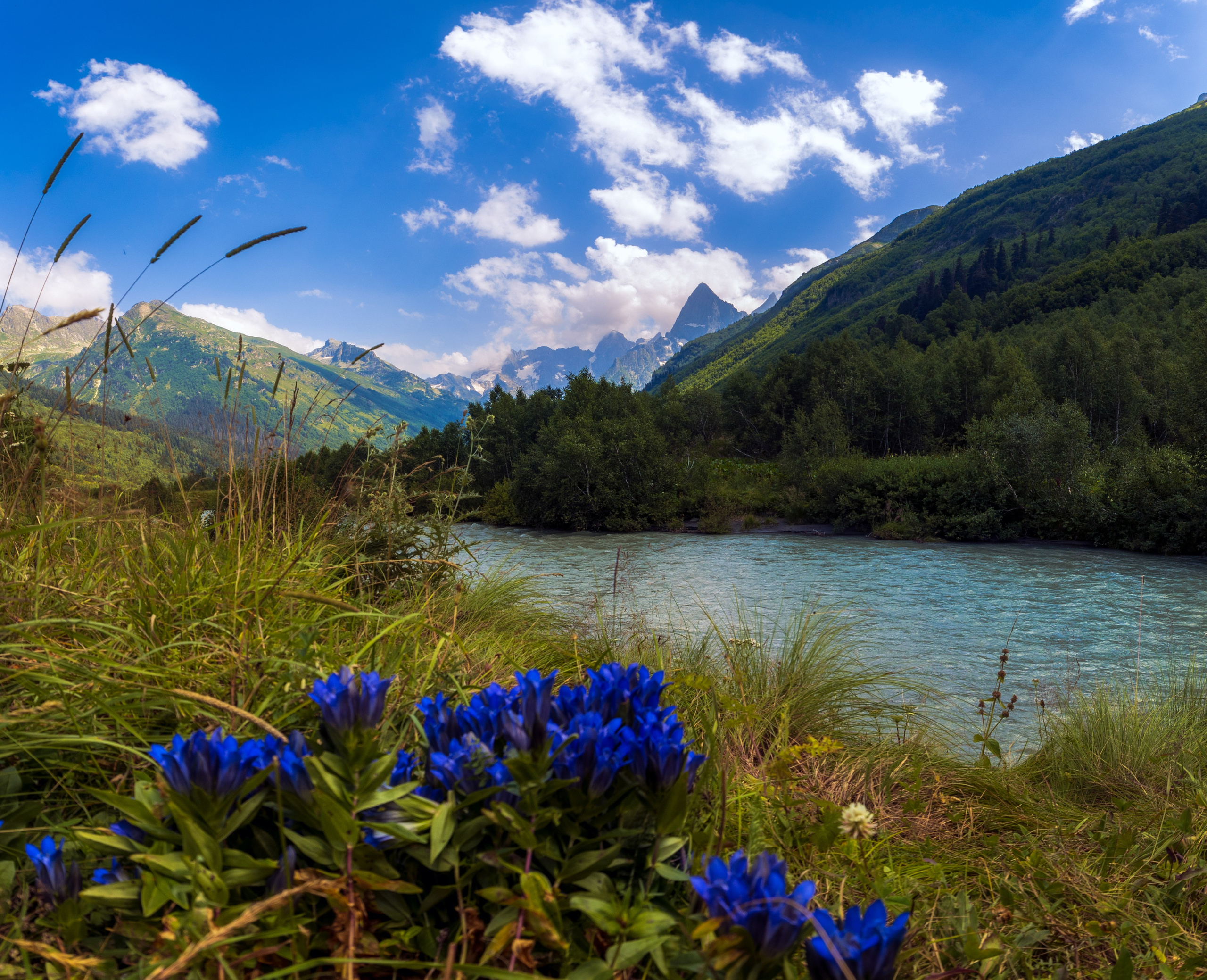 Природа. Фотохудожник Артём Парамонов