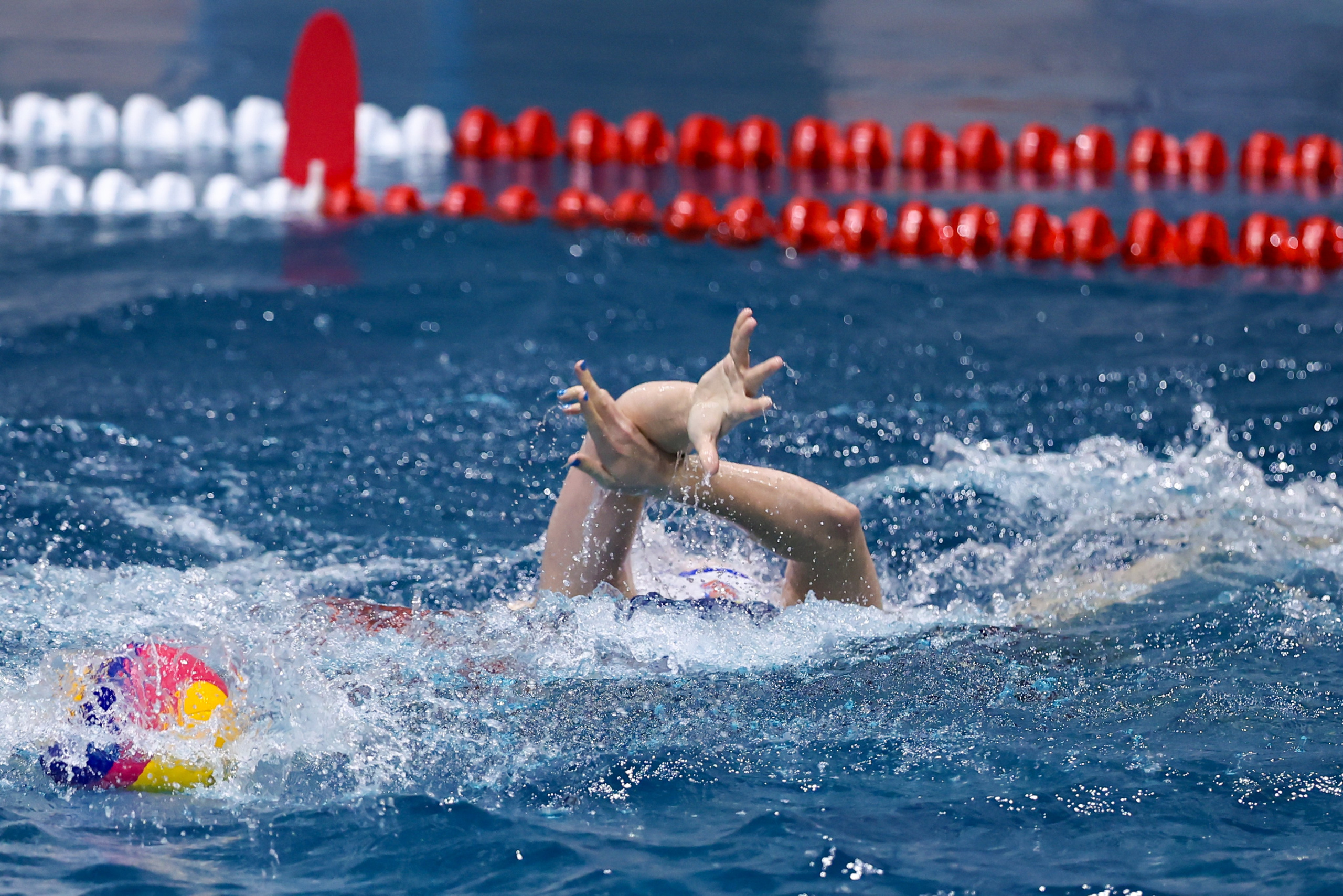 ВК «Диана» — ВК «Скиф-Восток» 24.01.2026. Спортивный и репортажный фотограф Антон Тереханов