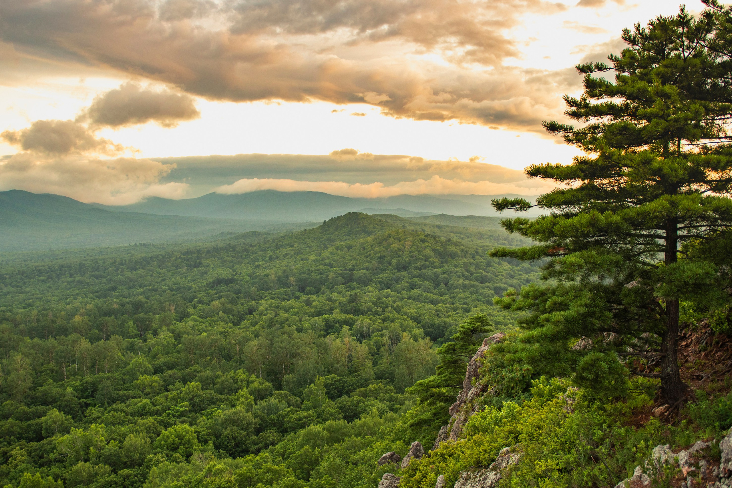 Природа Хабаровского края. Команда фотографов Кристины Ивановой