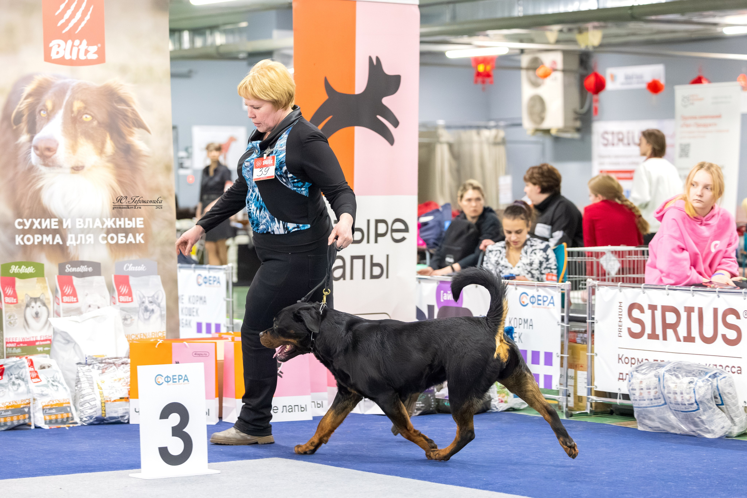 Сфера 08 и 10.03.2024 2хмоно ротвейлеров+2хмоно сао. Фотограф-анималист Юлия Германика