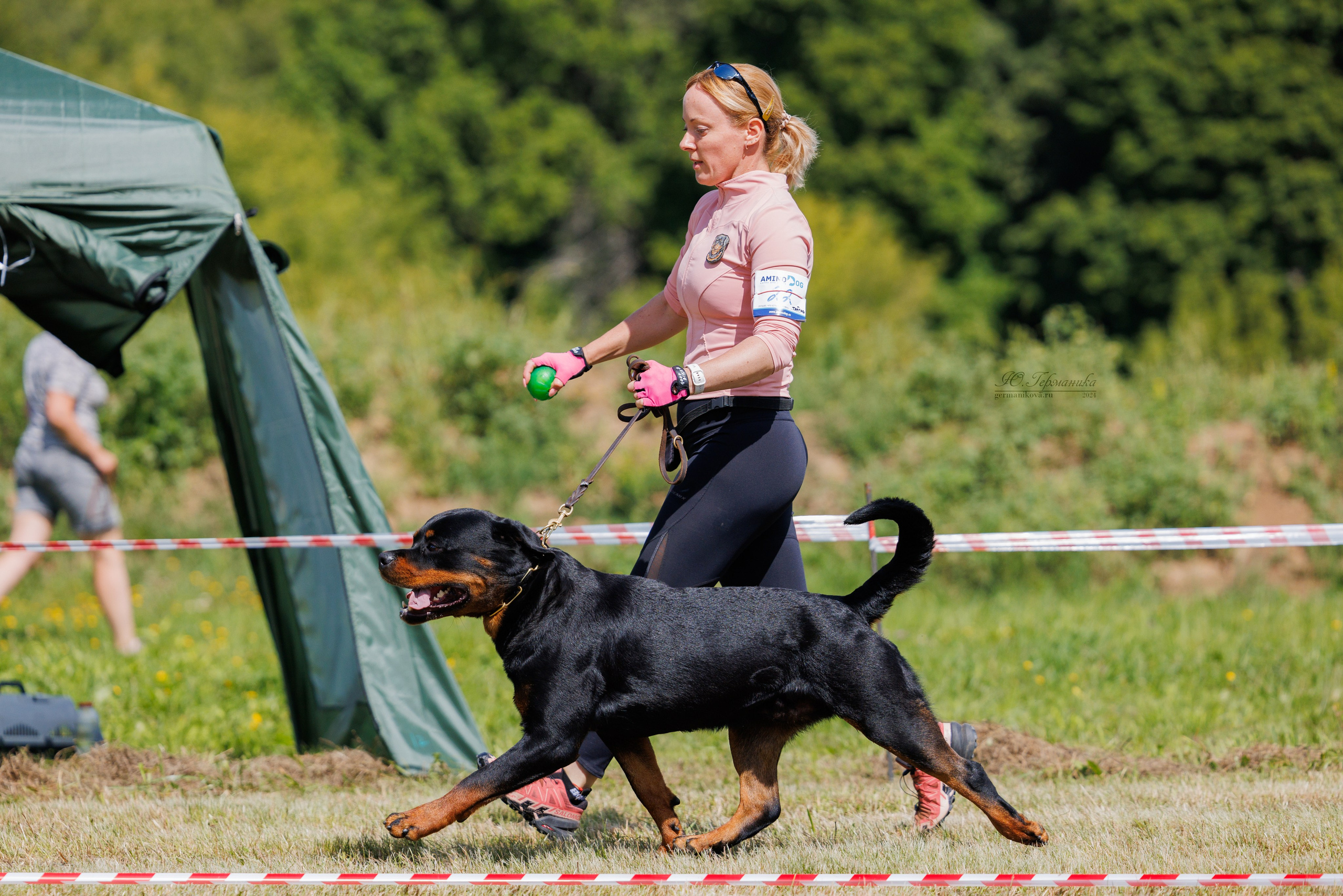 Рязань-Ховрино 10-11.08.2024 3хмоно ротвейлеров. Фотограф-анималист Юлия Германика