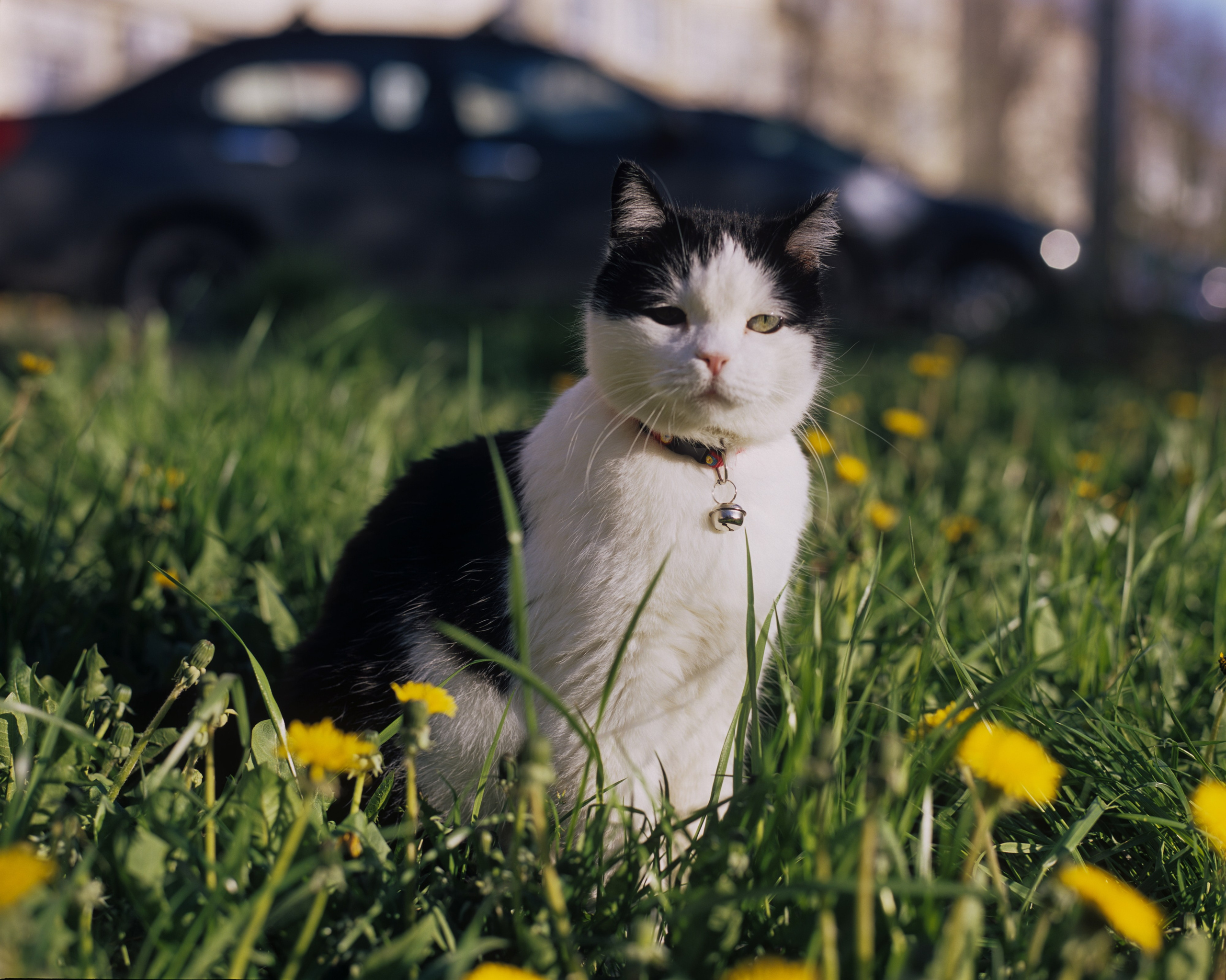 Василий. Фотограф в Санкт-Петербурге Березовский Даниил