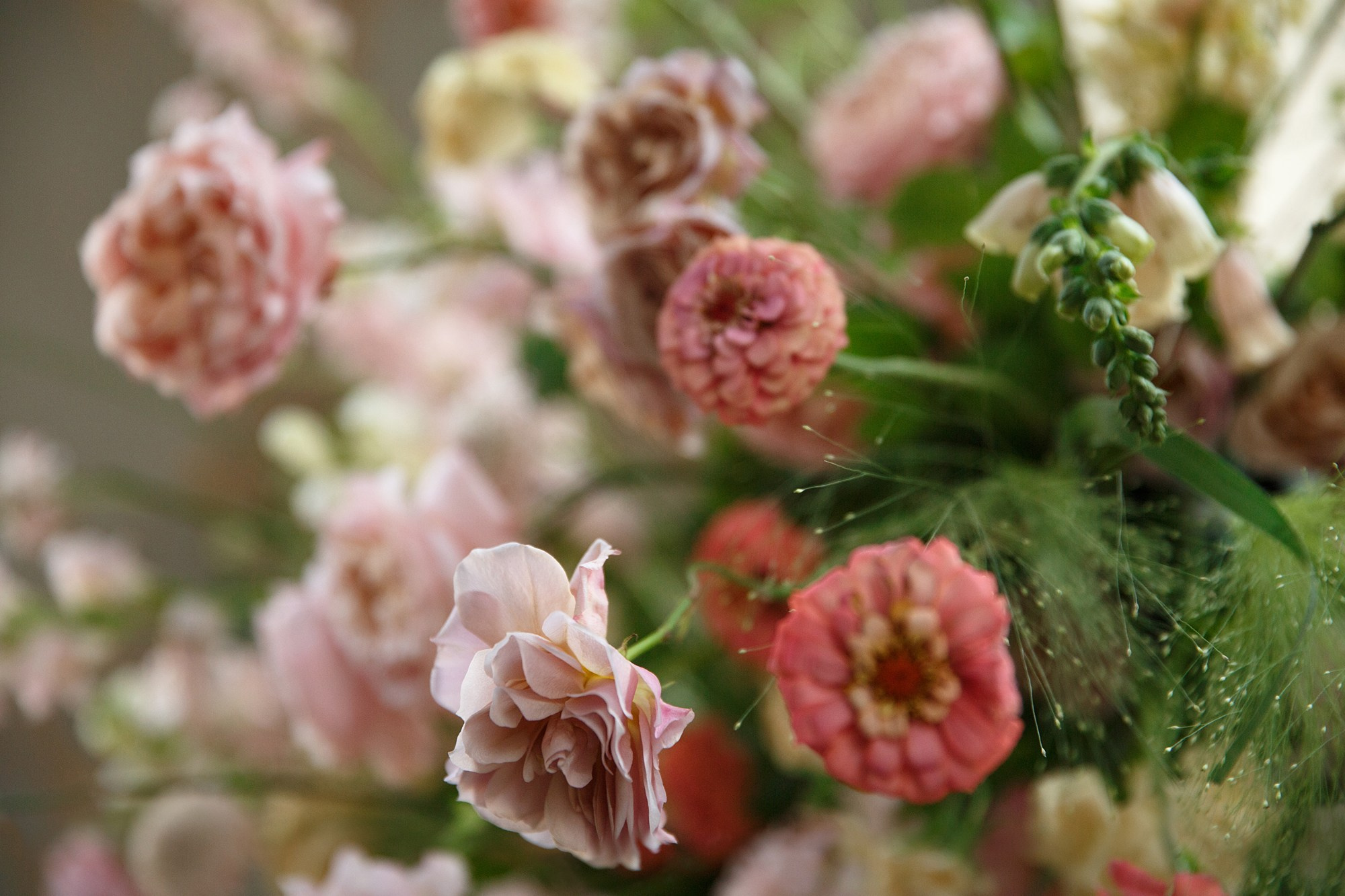 Social Club (Sezony). Свадебный фотограф в Санкт-Петербурге Наталья Вендт