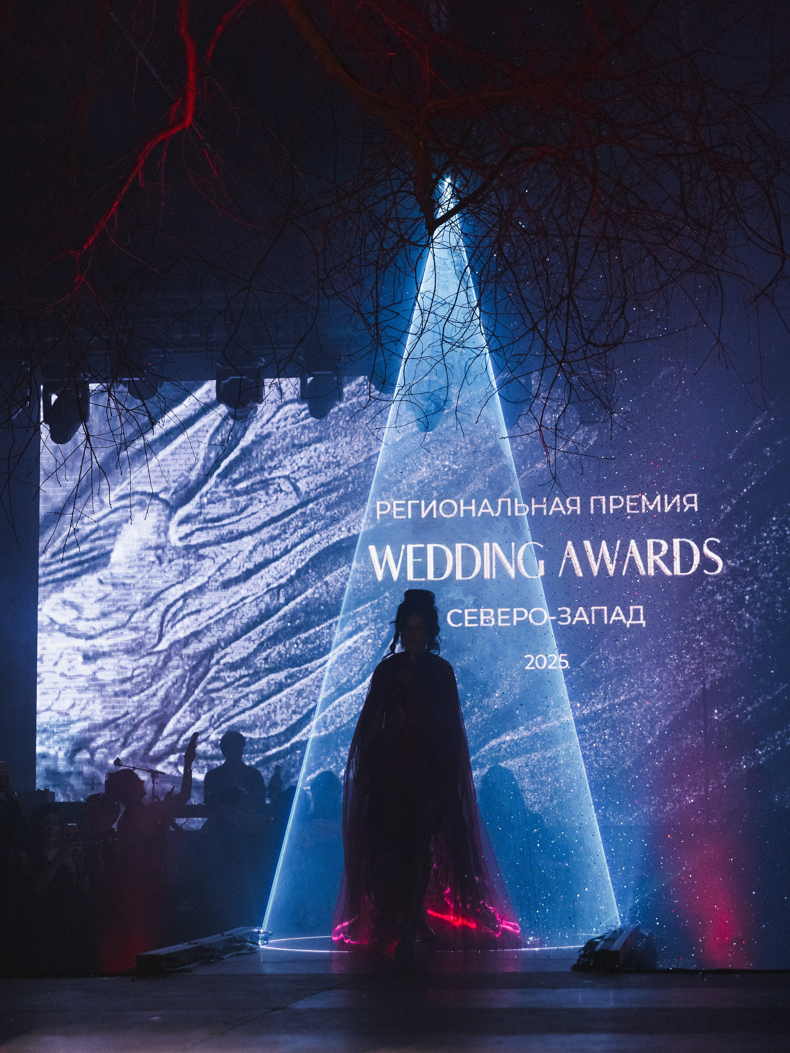 Wedding Awards NW 2025. NesterovaMaria.ru