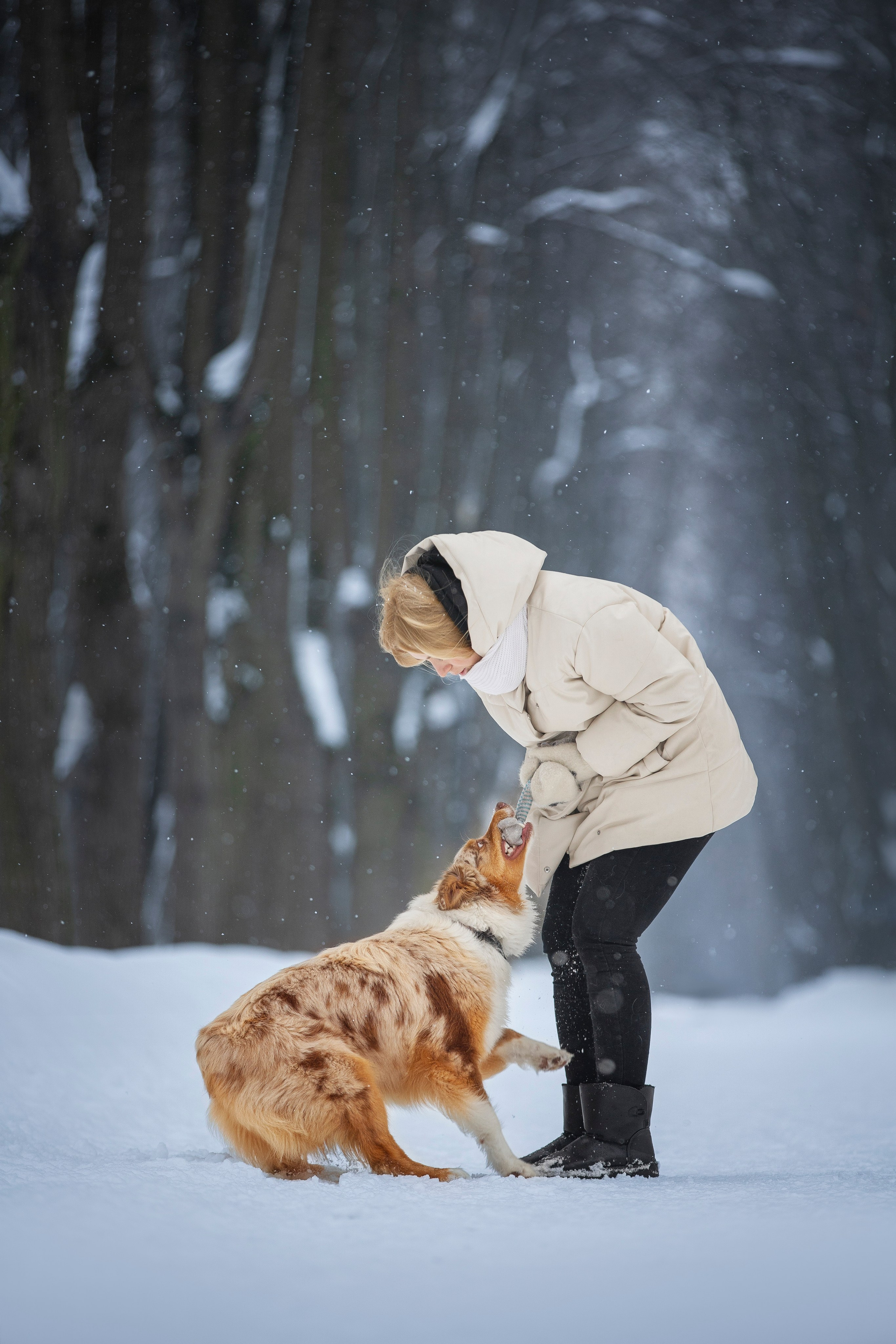 Настя, Игорь, Тесс и Марс. Фотограф анималист в Москве Майорова Евгения