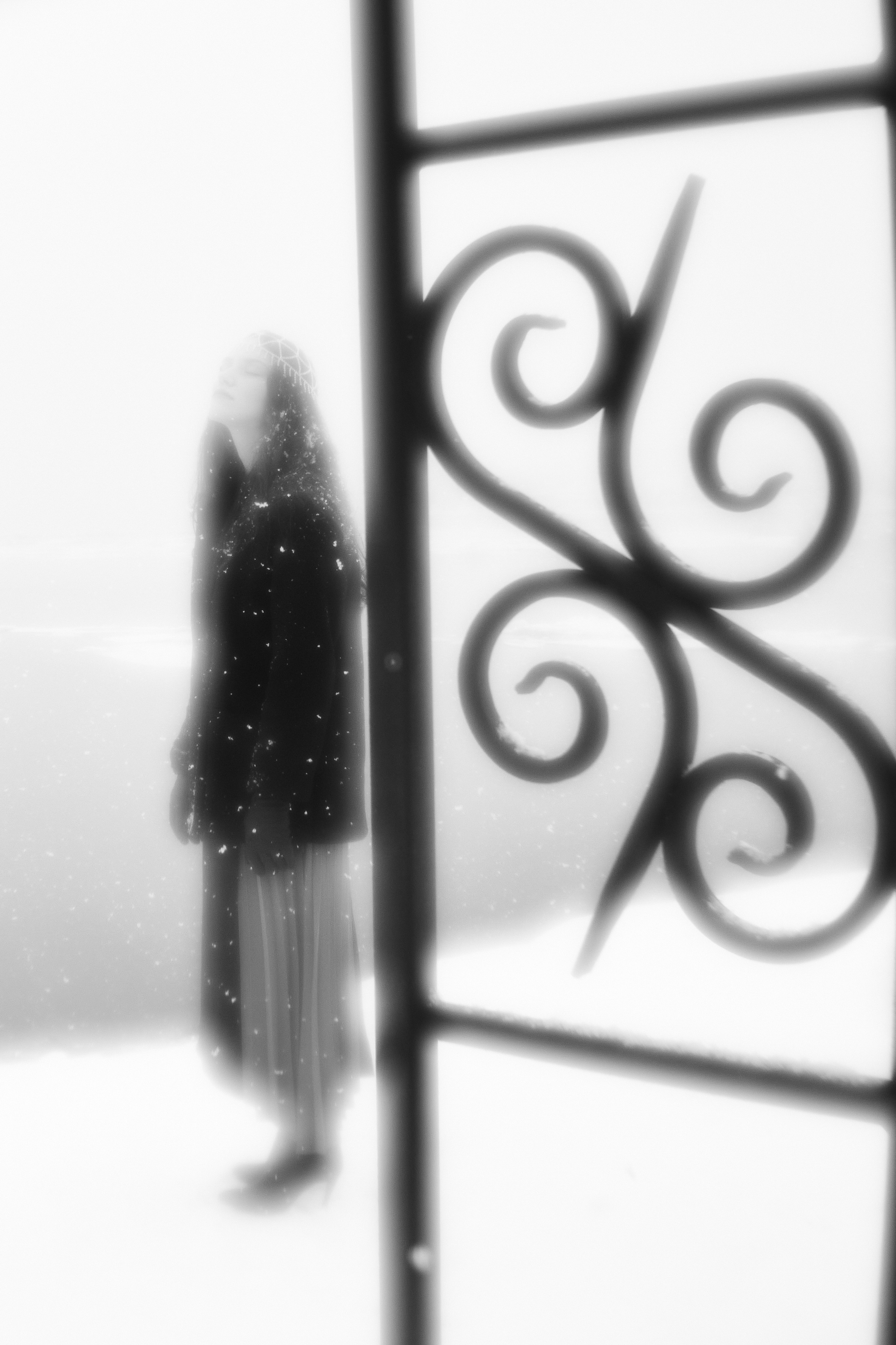 Белоснежность. Фотограф в Мурманске Оксана Черноморец