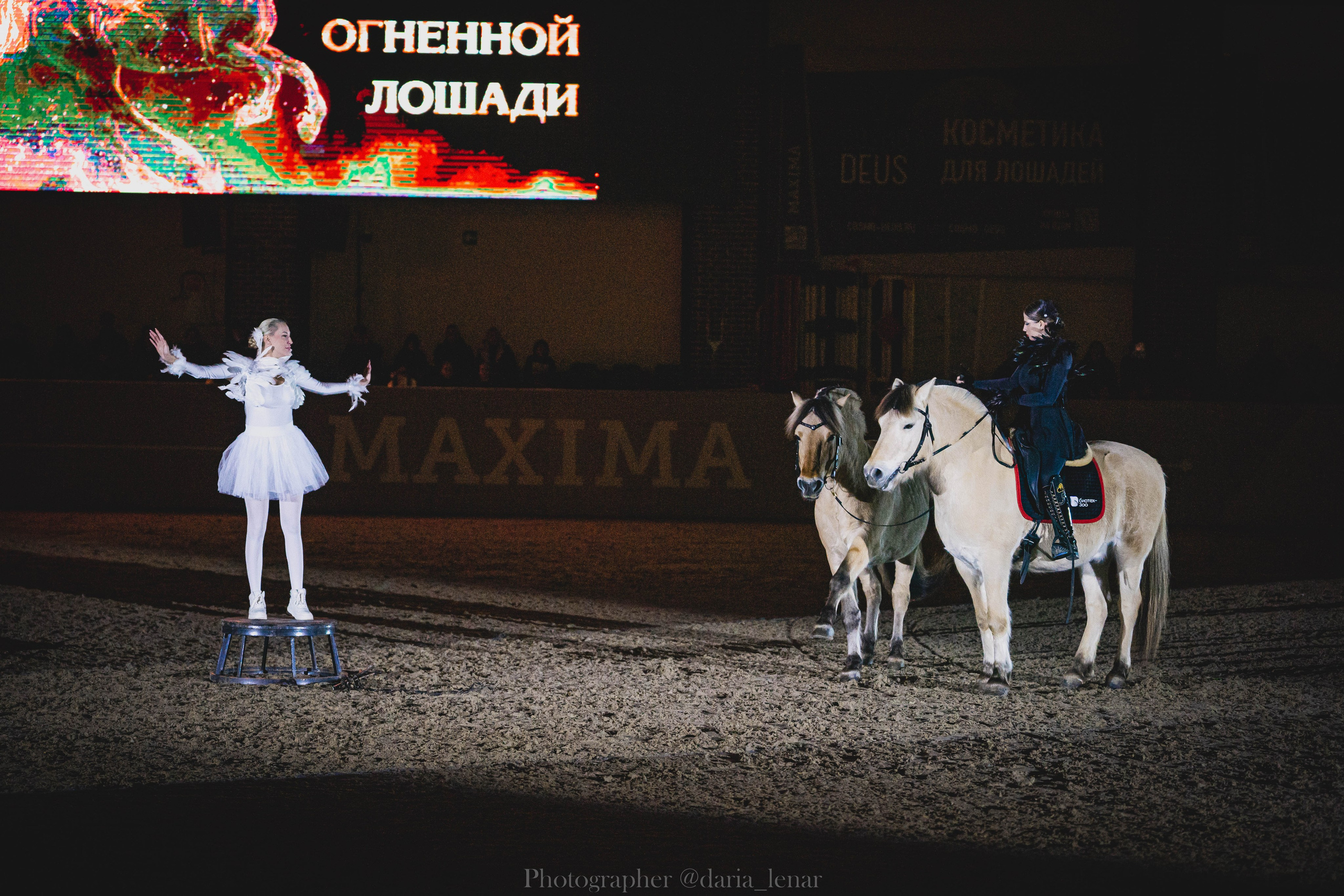 Шоу «Огненная лошадь». Фотограф в Москве Ленарская Дарья