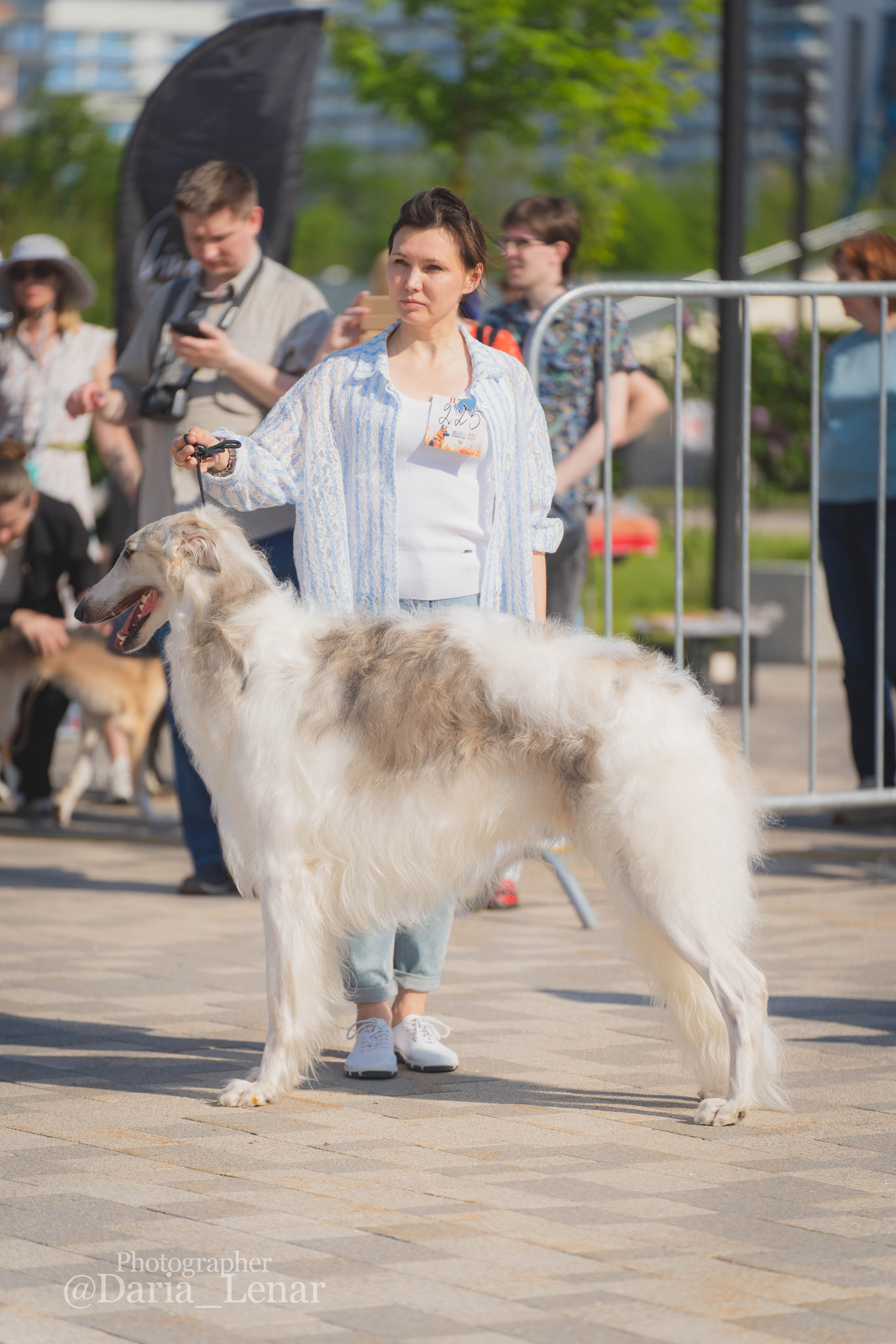Выставки собак. Фотограф в Москве Ленарская Дарья