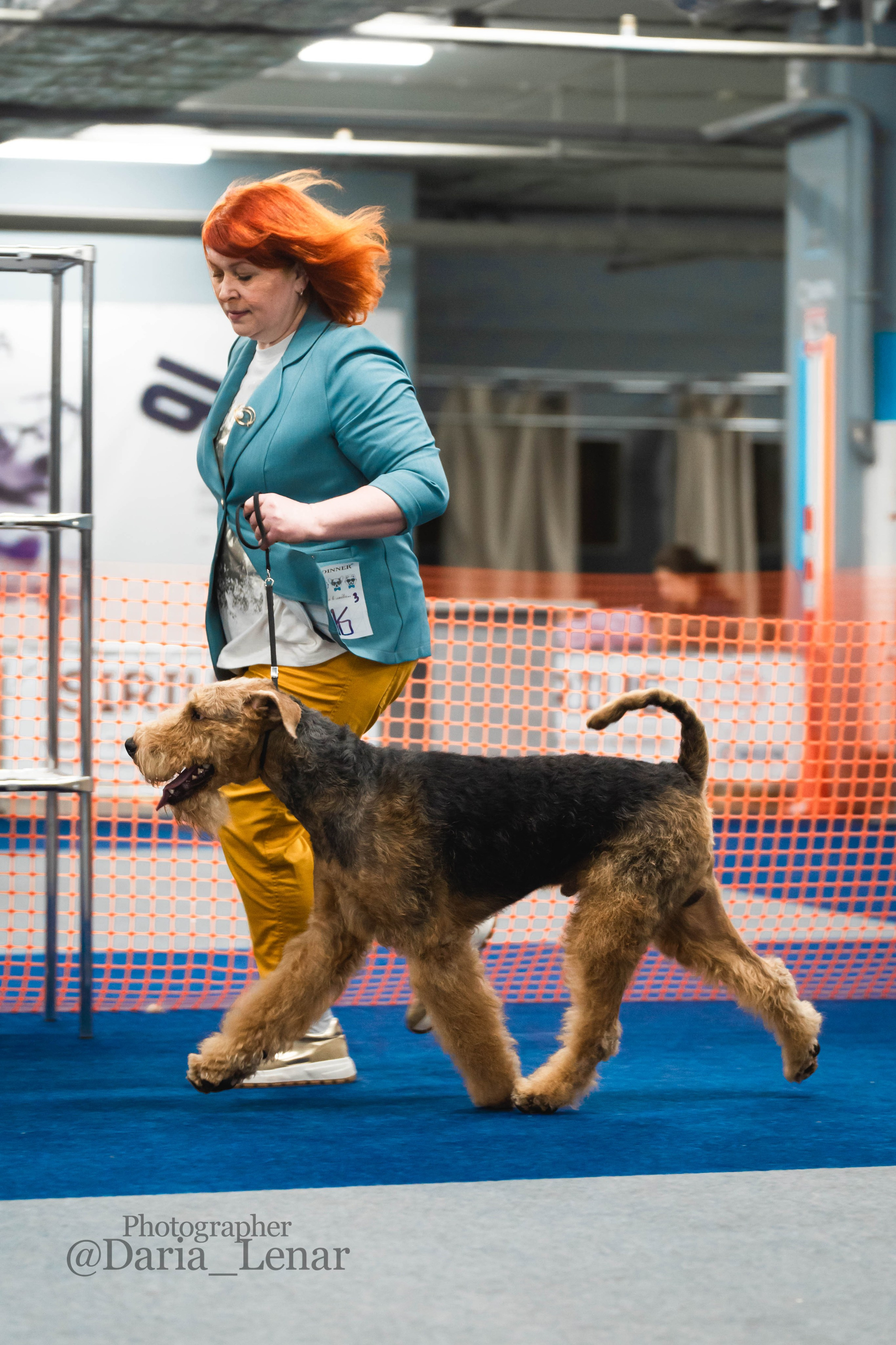 Выставки собак. Фотограф в Москве Ленарская Дарья