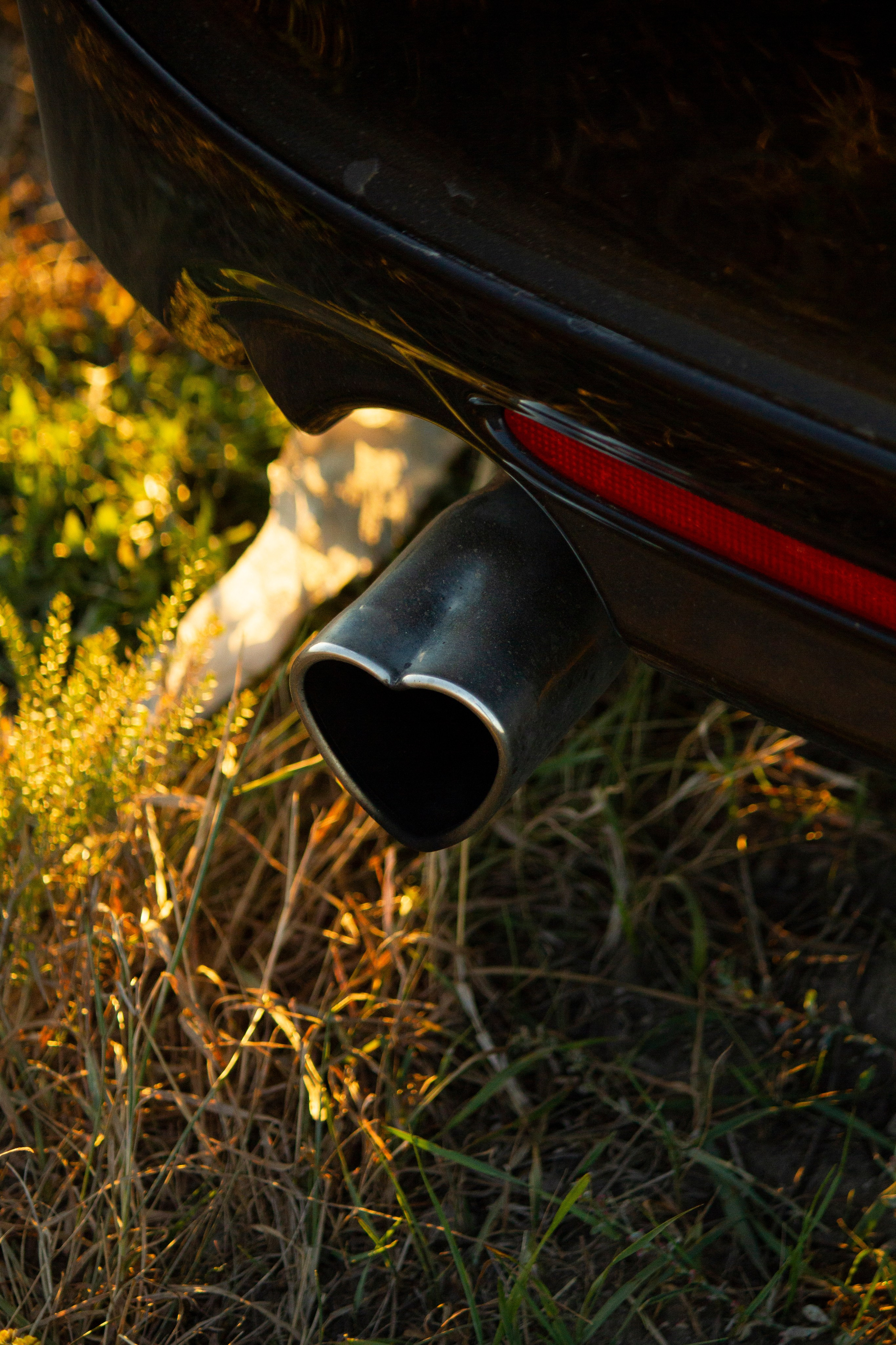 EMMA 22.09.24. Malenkyia