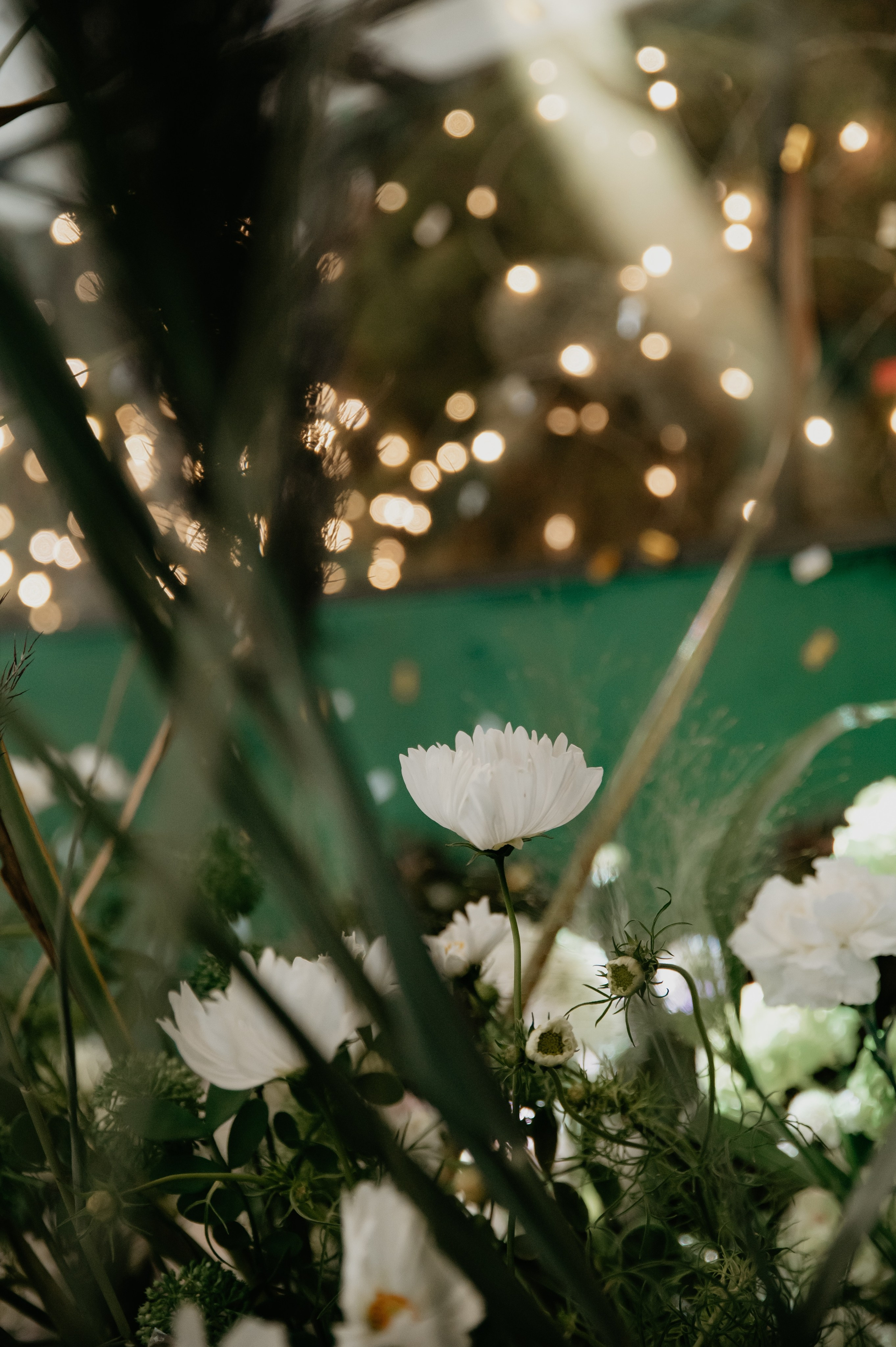 Паша и Алина. Свадебный фотограф Евгения Наумовец