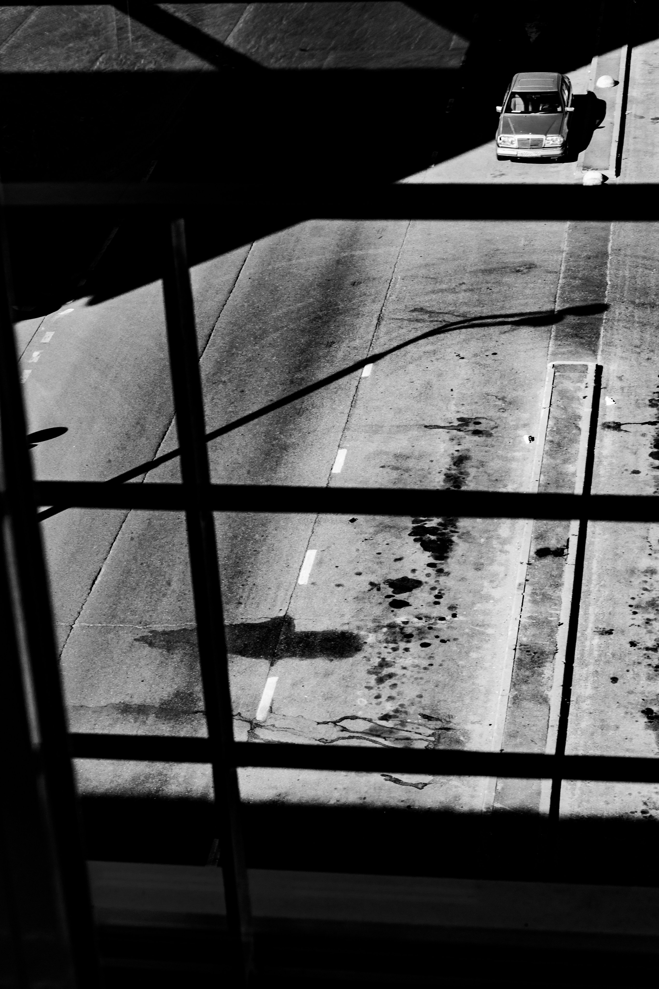 III. Стас Привалов