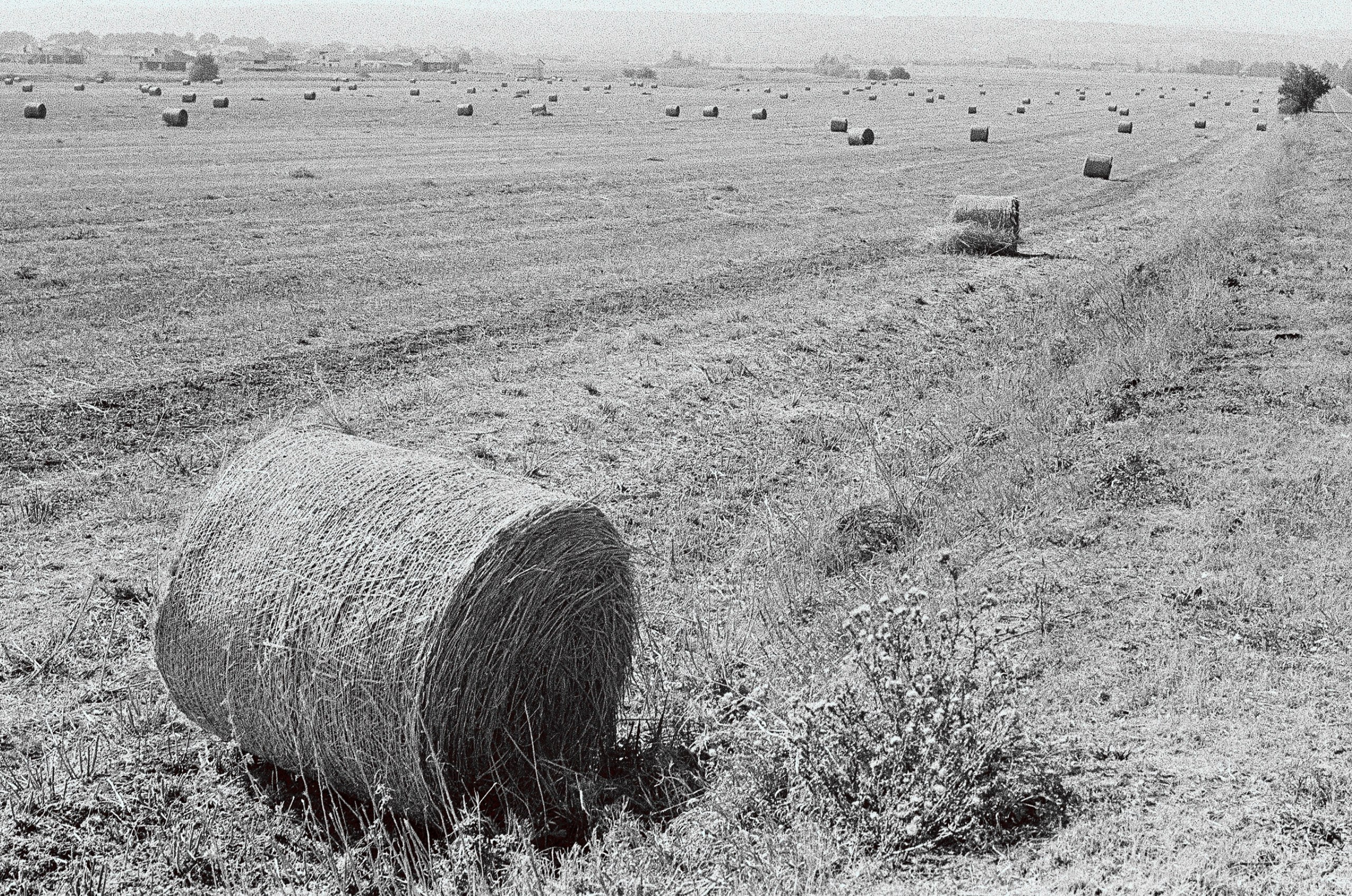Работы фотографа Юлия Стремского. Фотография Стремского