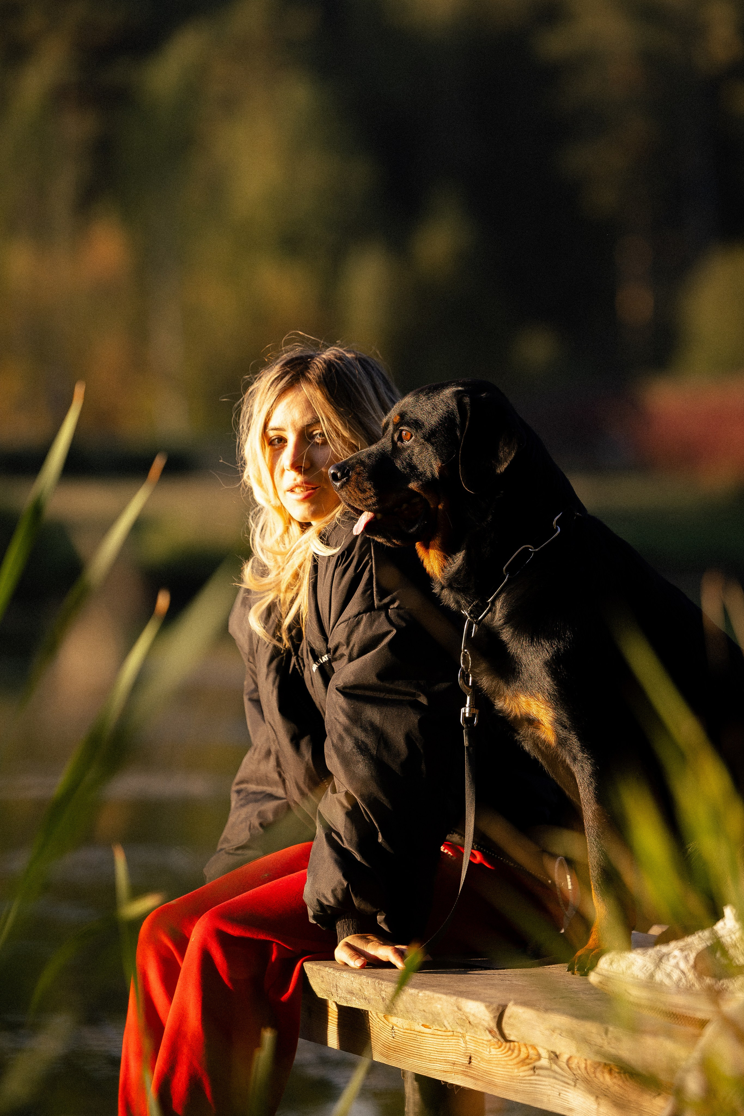 Катя, Леша, Лея и Трой. Фотограф и видеограф анималист Аганина Дарья