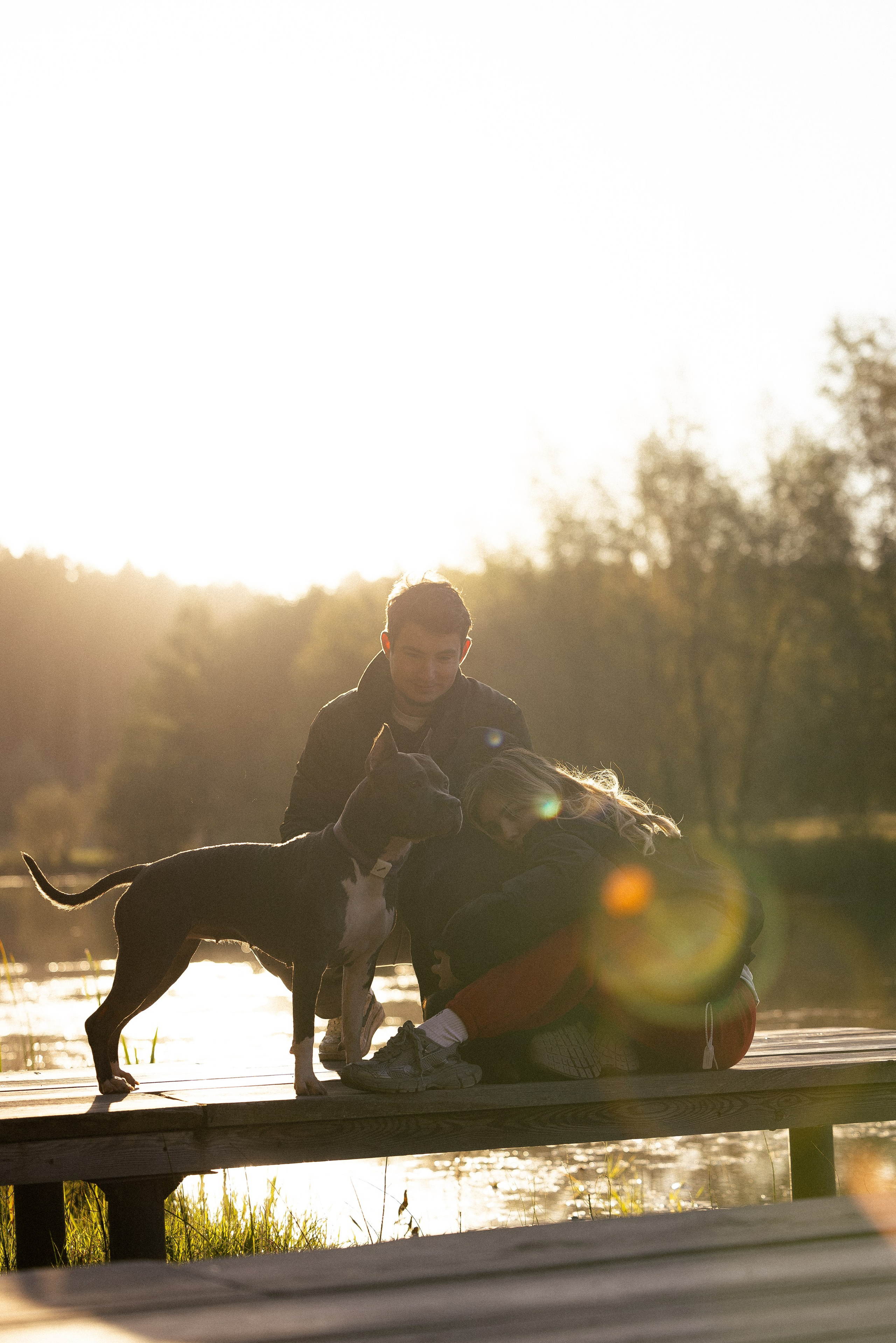 Катя, Леша, Лея и Трой. Фотограф и видеограф анималист Аганина Дарья