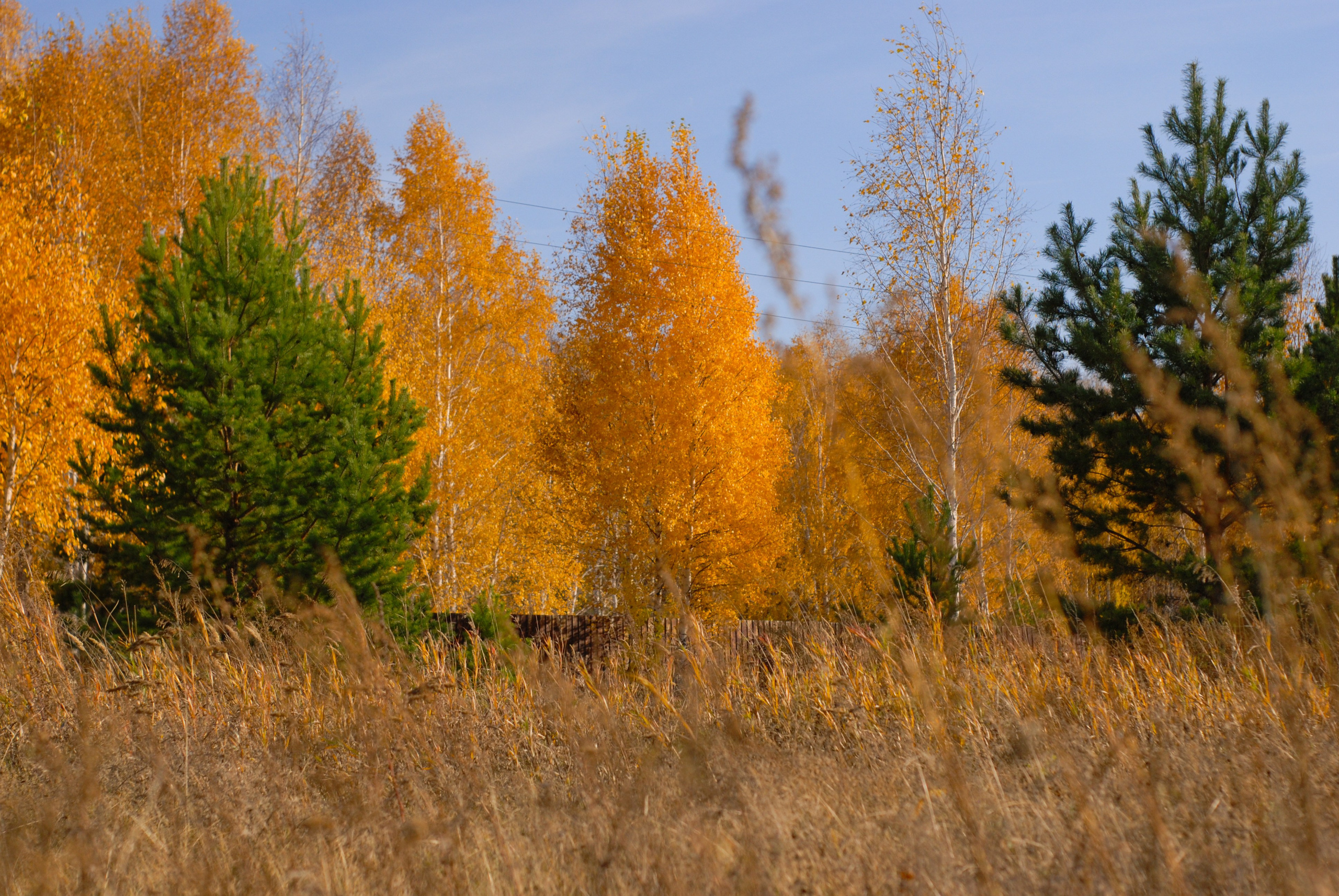 Этот прекрасный мир