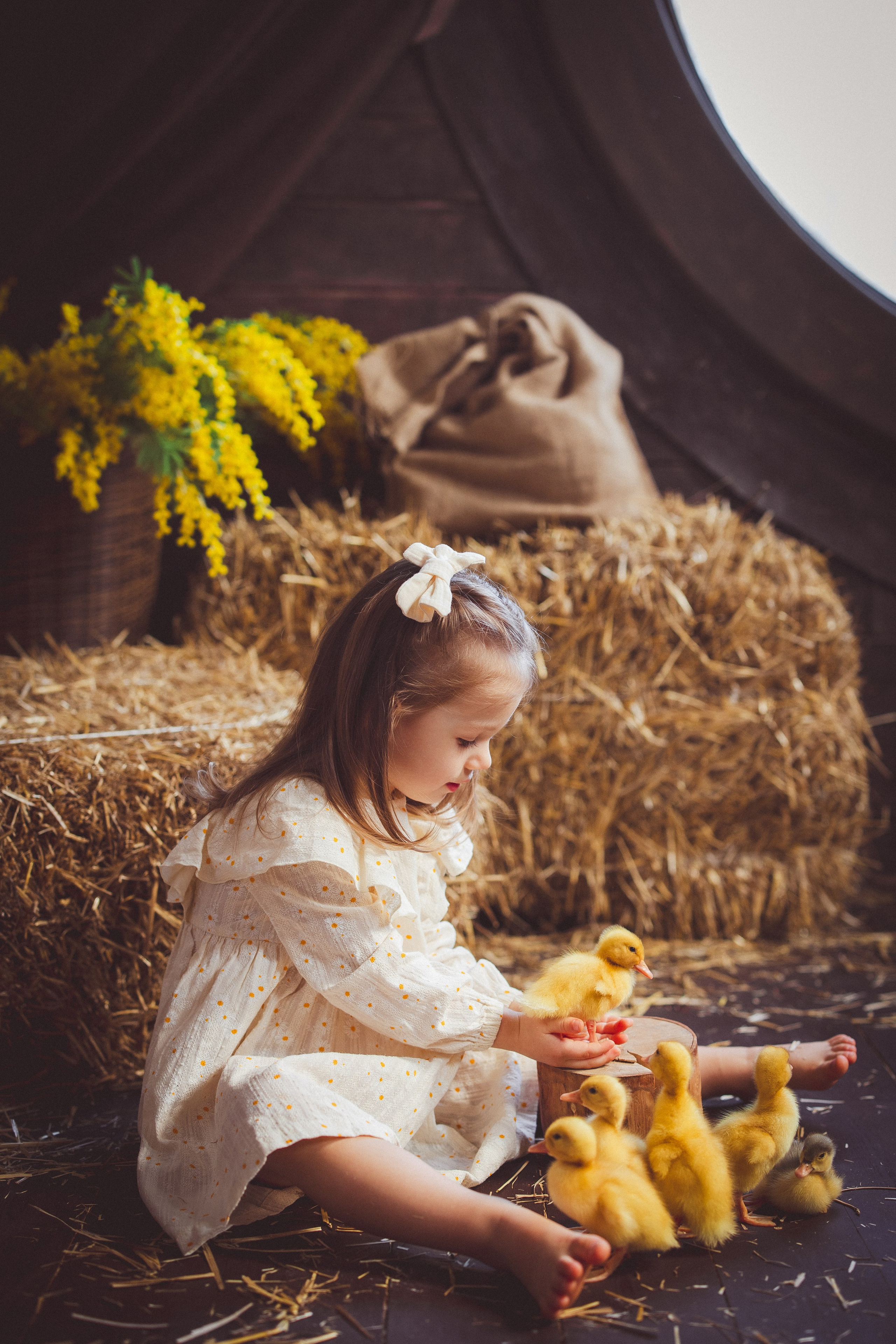 Пасхальный фотопроект с козочкой и утятами, в фотостудии «Эль» 2024 г. Семейный и детский фотограф в Краснодаре Анна Трашкова
