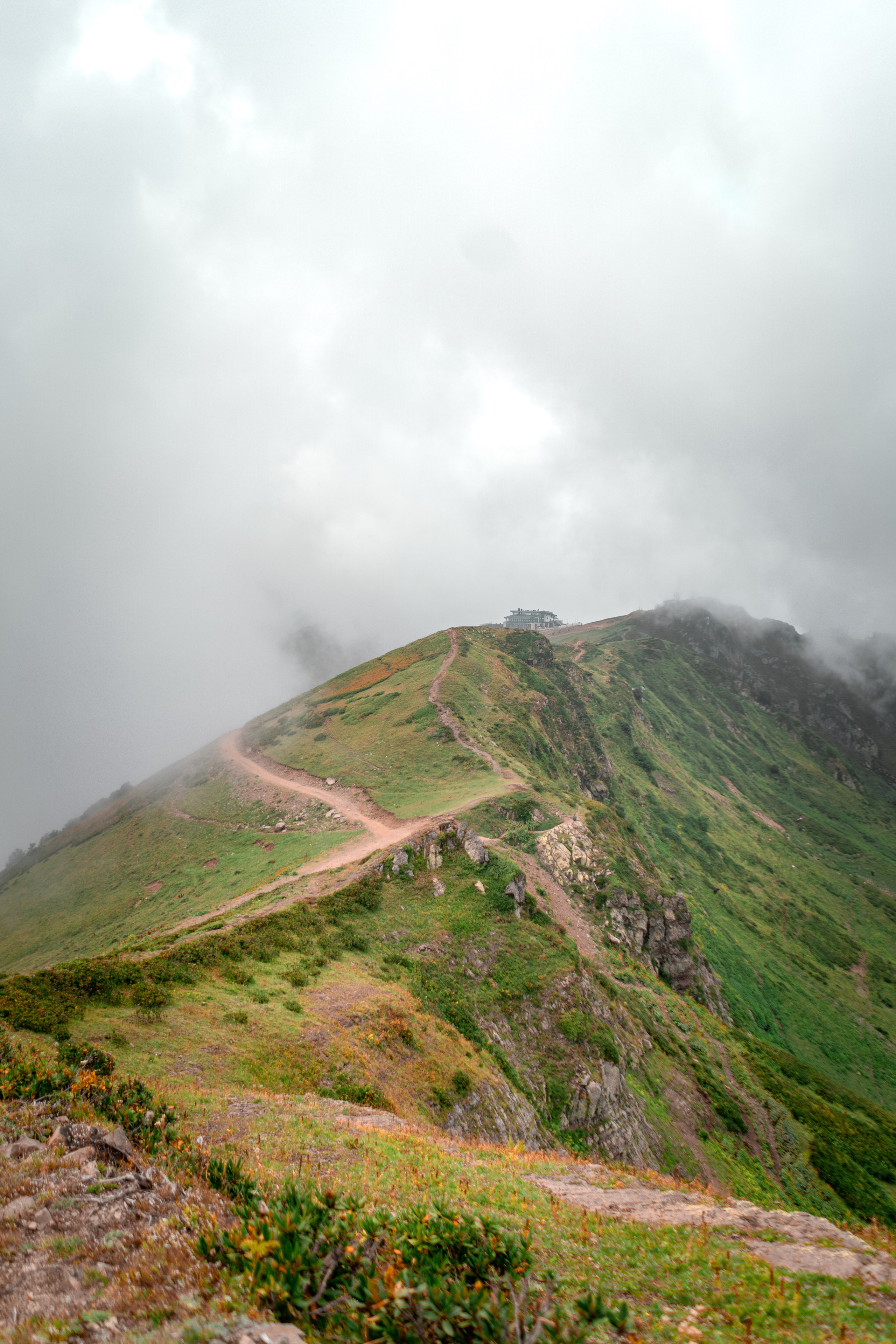 Сочи. Фотограф Александра Волкова | Волгоград