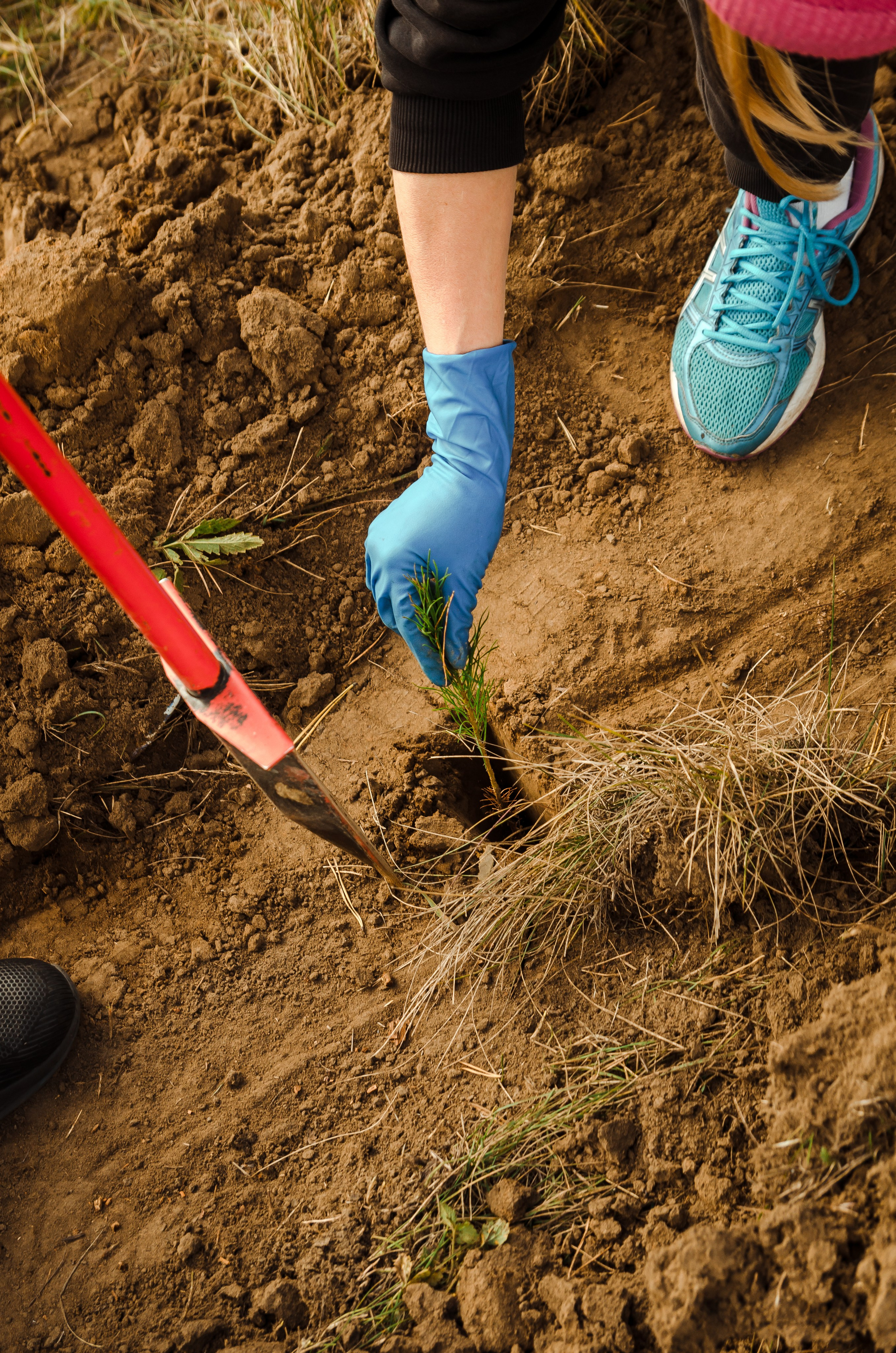 Репортаж. Пилот, фотограф и оператор Баркалова Светлана