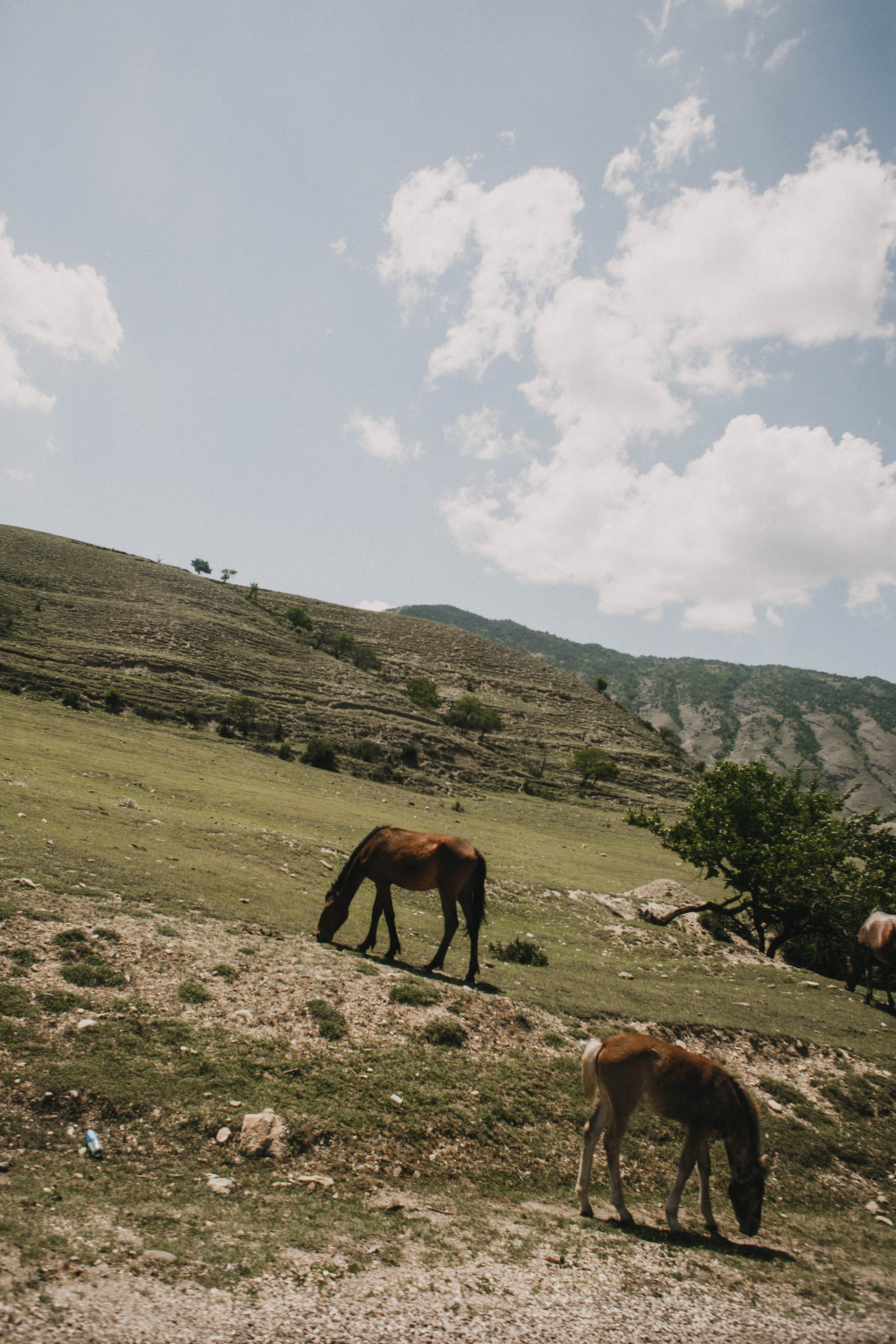 Дагестан. Чечня. 2024. Фотограф в Нижнем Новгороде