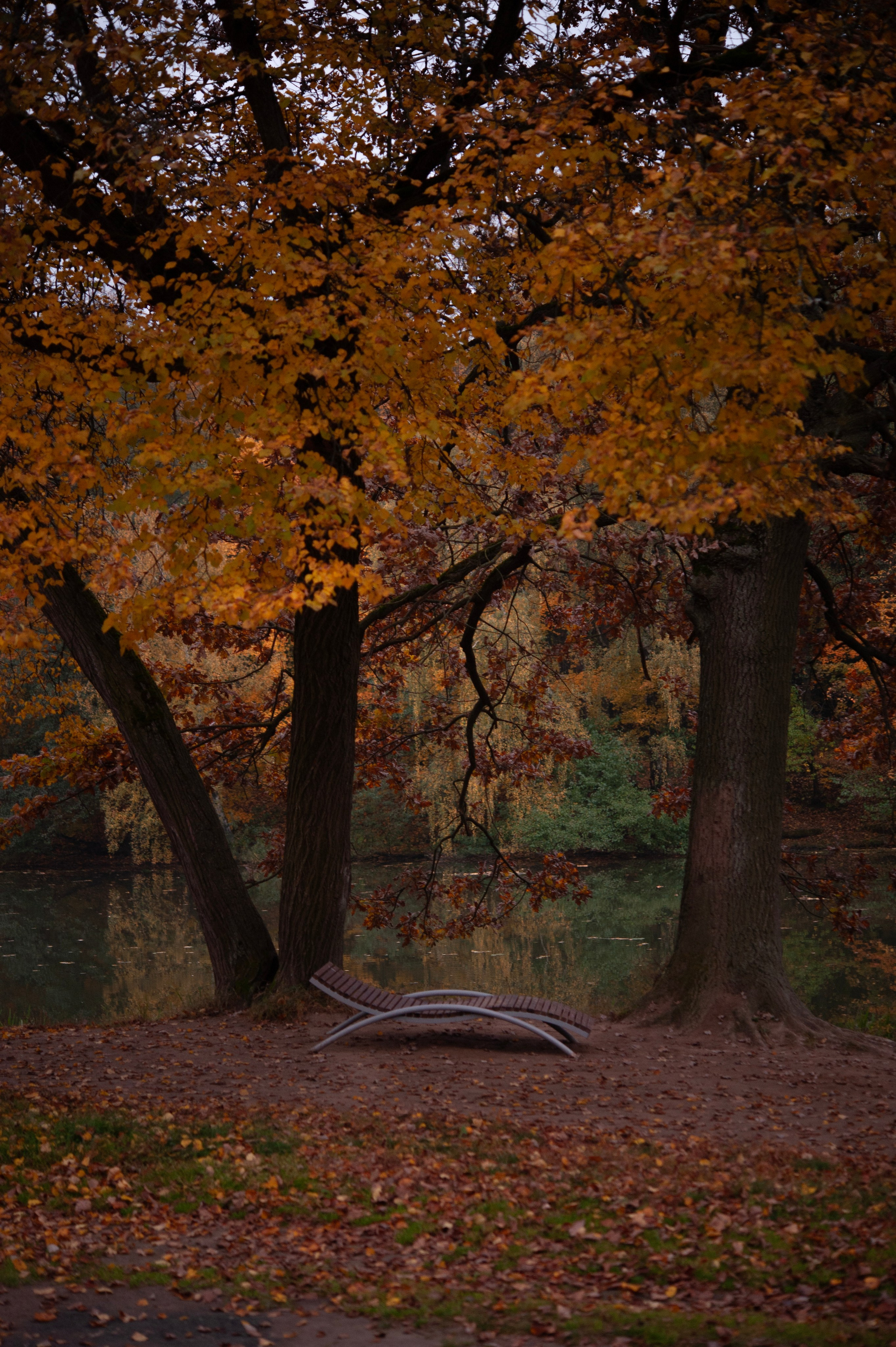 DIGITAL. Director of photography