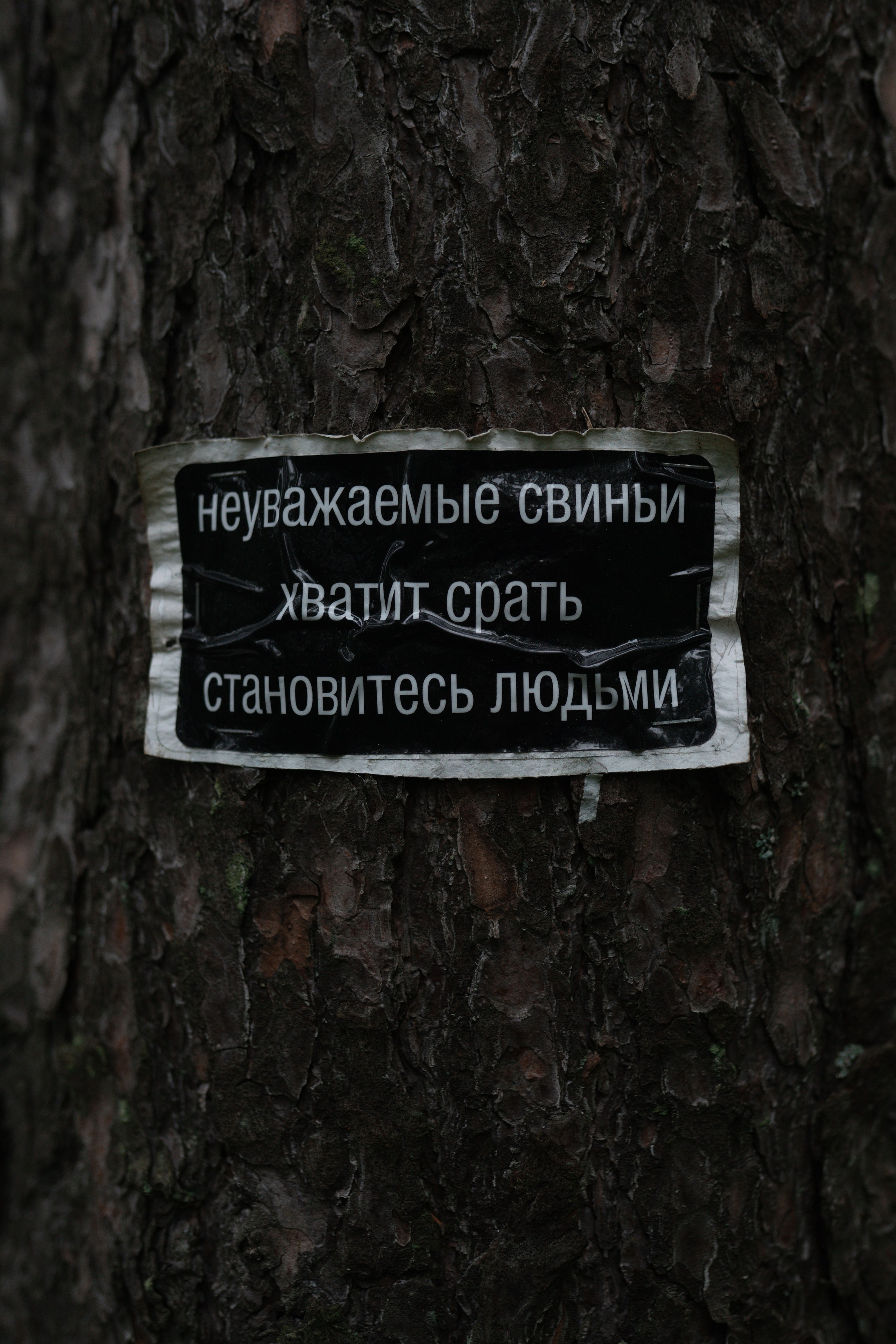 Алиса и Ко. Фотограф-анималист в Санкт-Петербурге