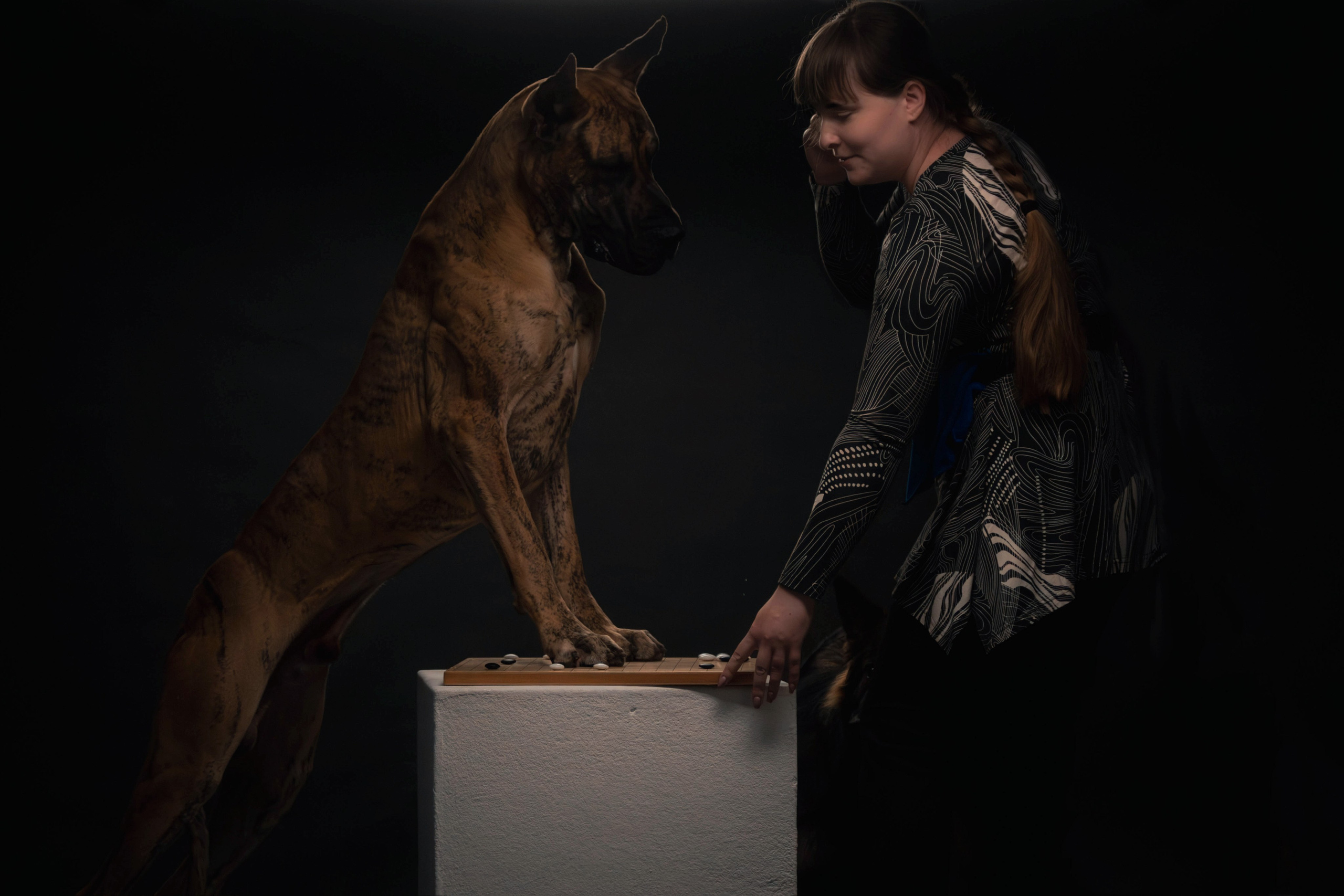 Елена, Honney Highlight и Эрафия. Фотограф анималист — Тула, Москва