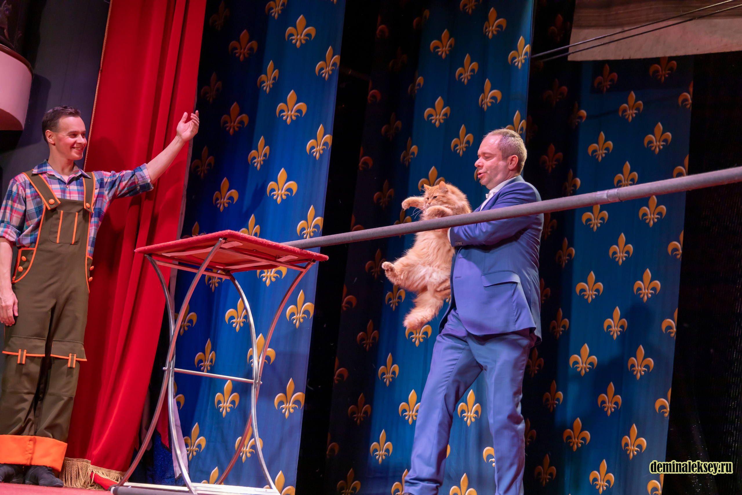 Театр кошек Куклачева 26 февраля 2025. Репортажный, семейный и студийный фотограф в Москве Демин Алексей