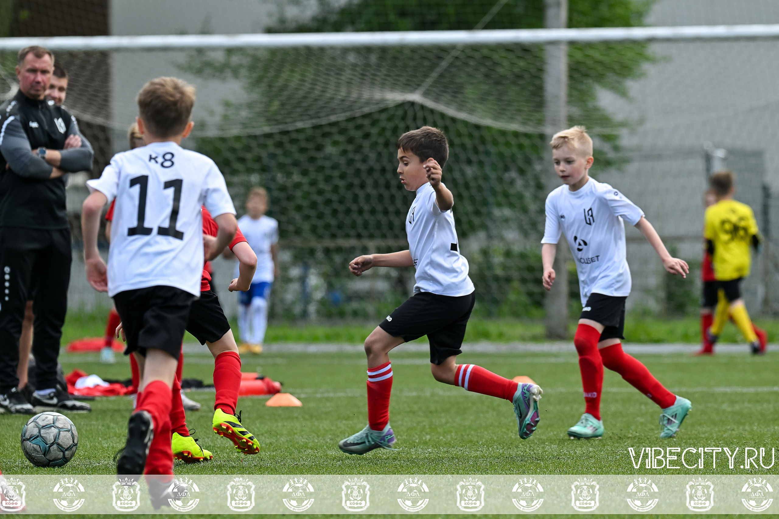 Большие Звезды светят Малым. VIBECITY.RU Вайб Сити Ру Фоторепортажи Фотоотчеты Калининград