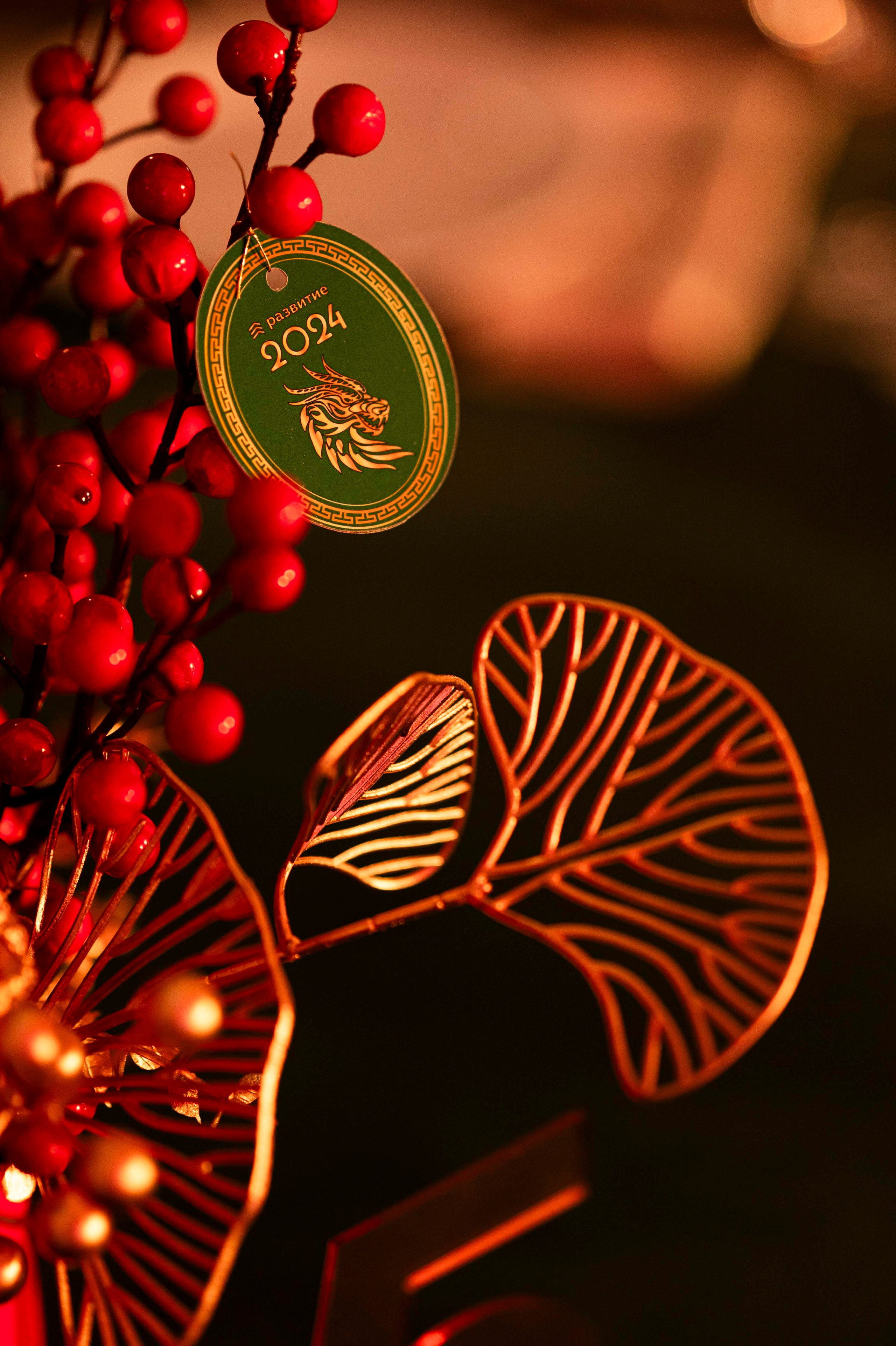 Новый год / СК Развитие / Ревва. Фотограф Антон Горин