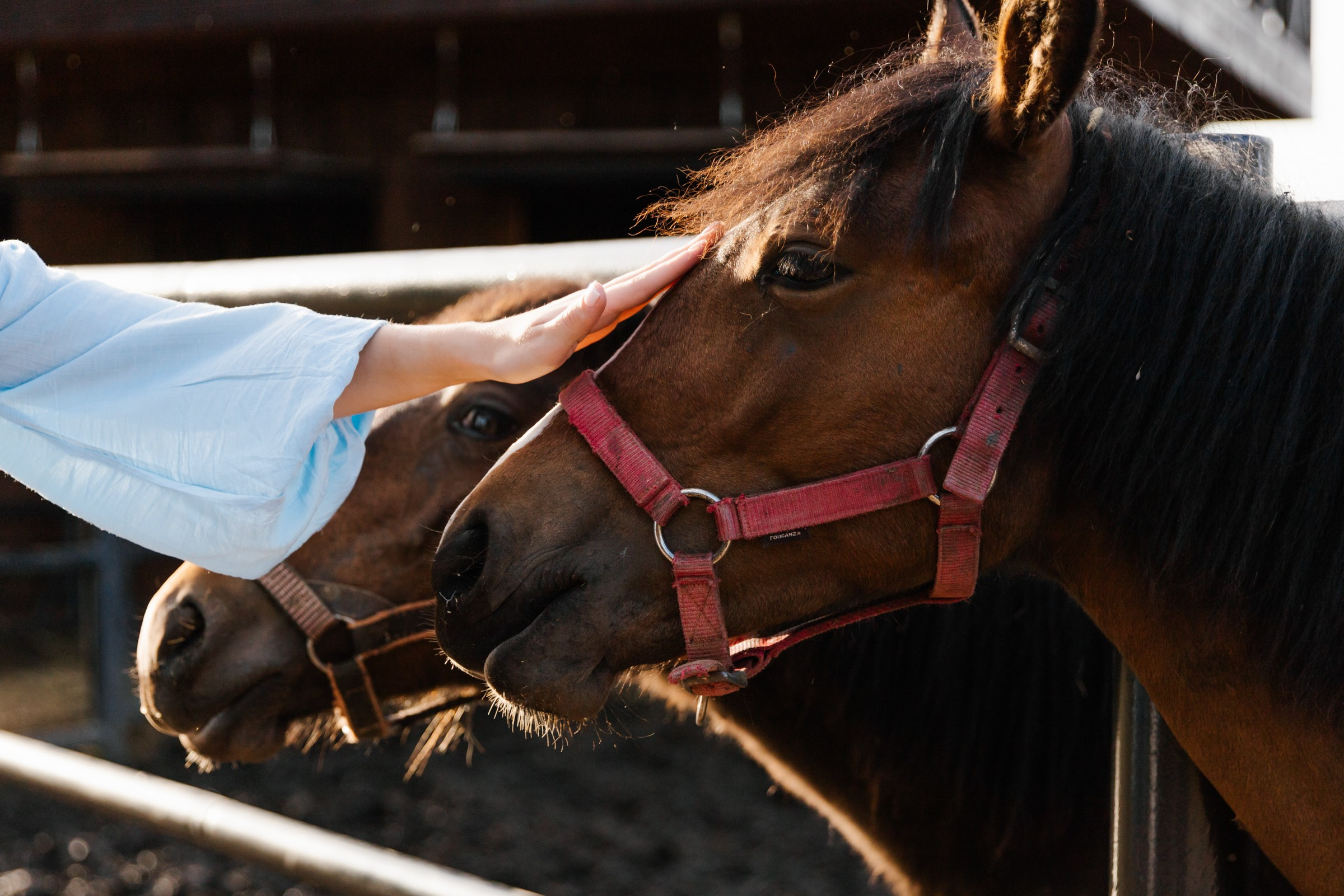 Свидание за городом. Свадебный фотограф Марьям Сайфулина г. Красноярск