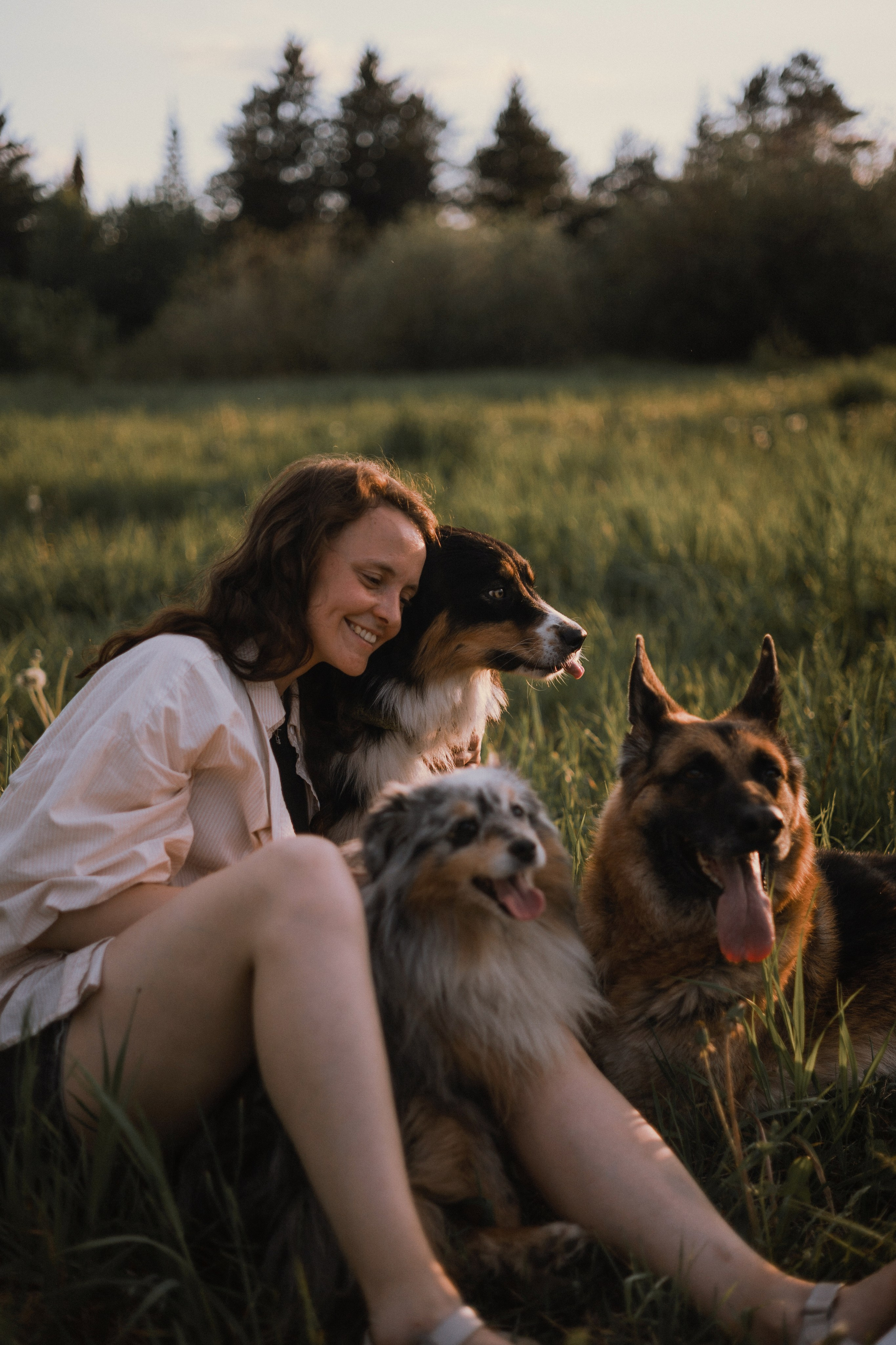 Настя, Шуня, Милка и Тигуан. Фотограф-анималист Богданова Полина