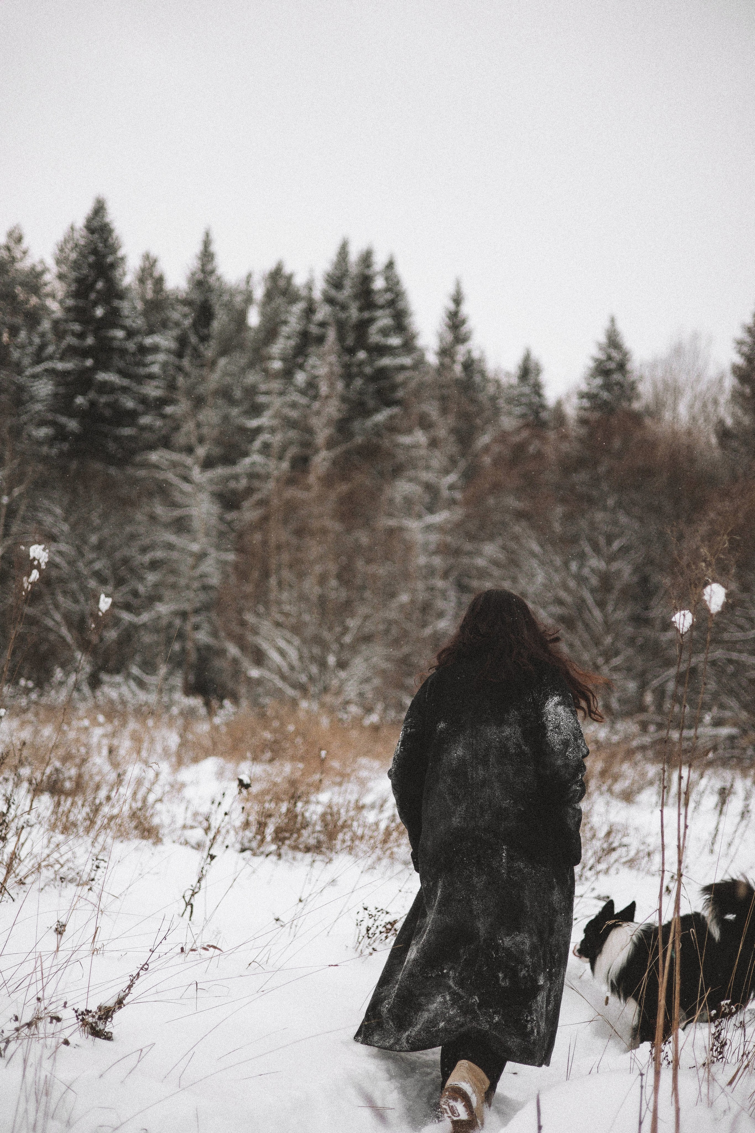 Алина и Найт. Фотограф-анималист Богданова Полина