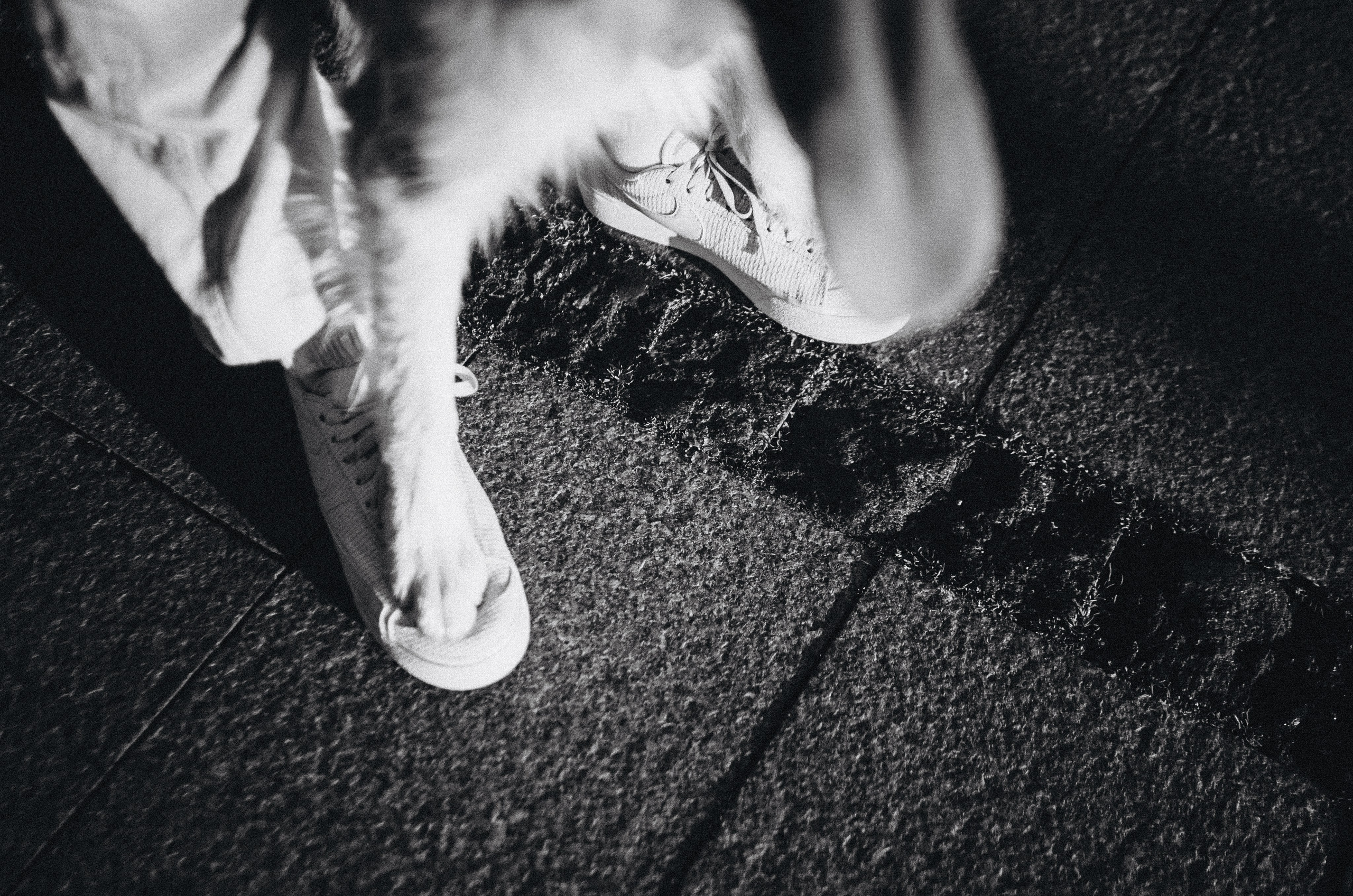 Аня и Дэймон. Фотограф-анималист Богданова Полина