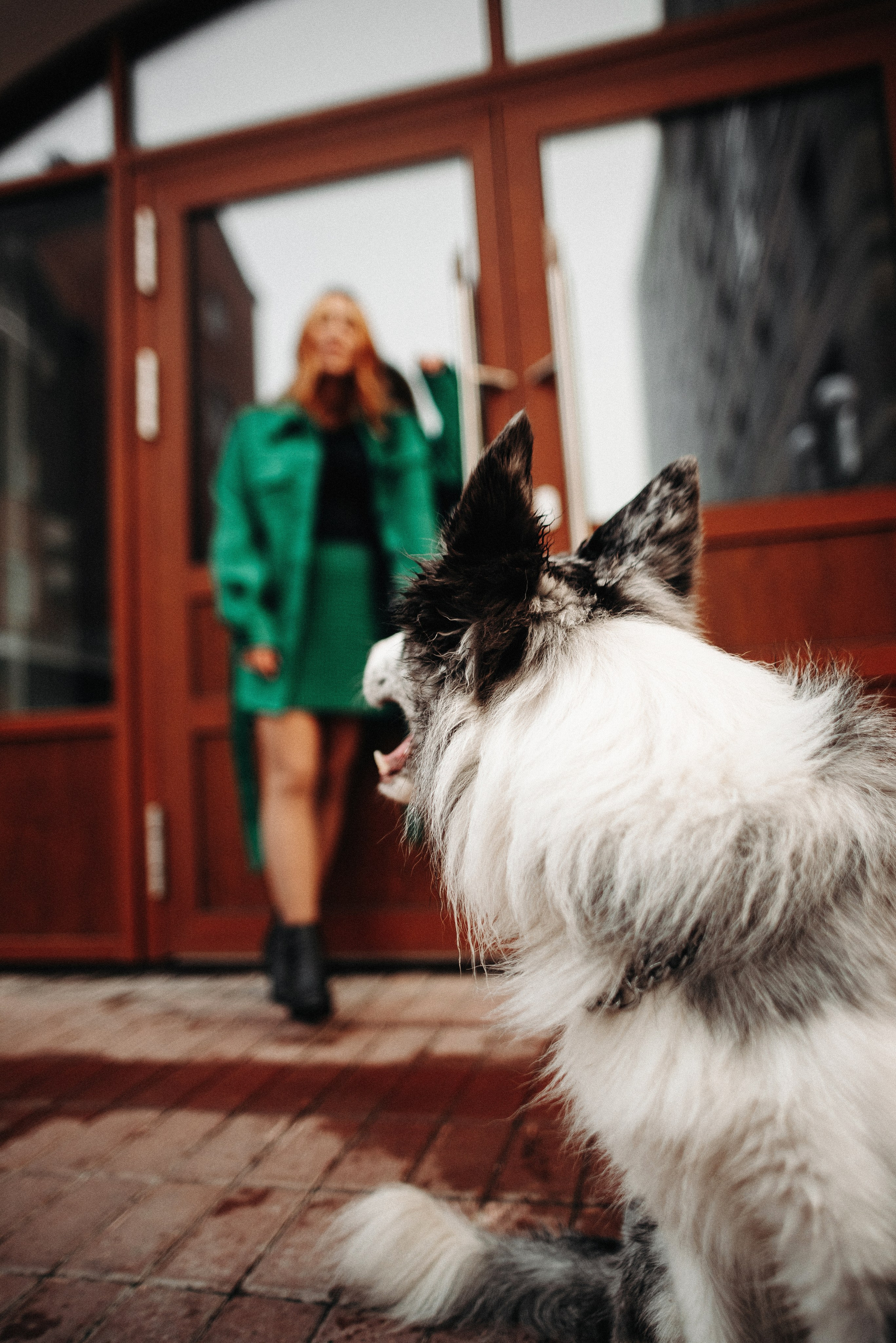 Диана и Робин. Фотограф-анималист Богданова Полина