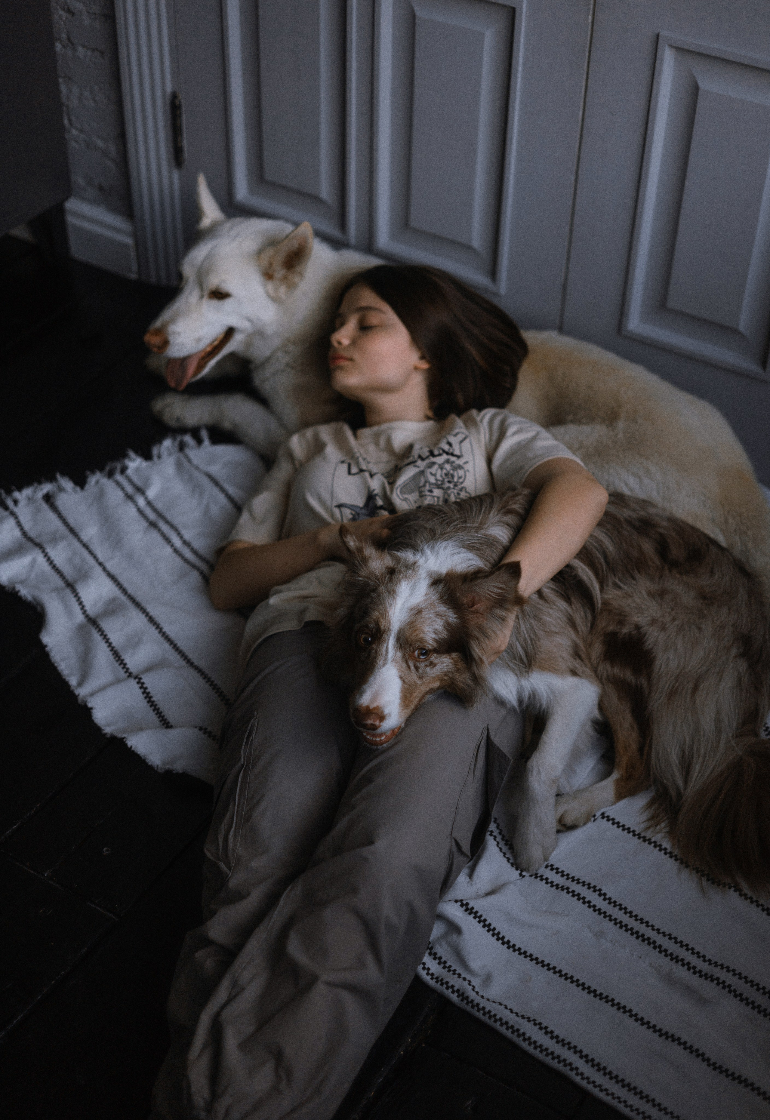 Аня, Дэймон и Грэй. Фотограф-анималист Богданова Полина